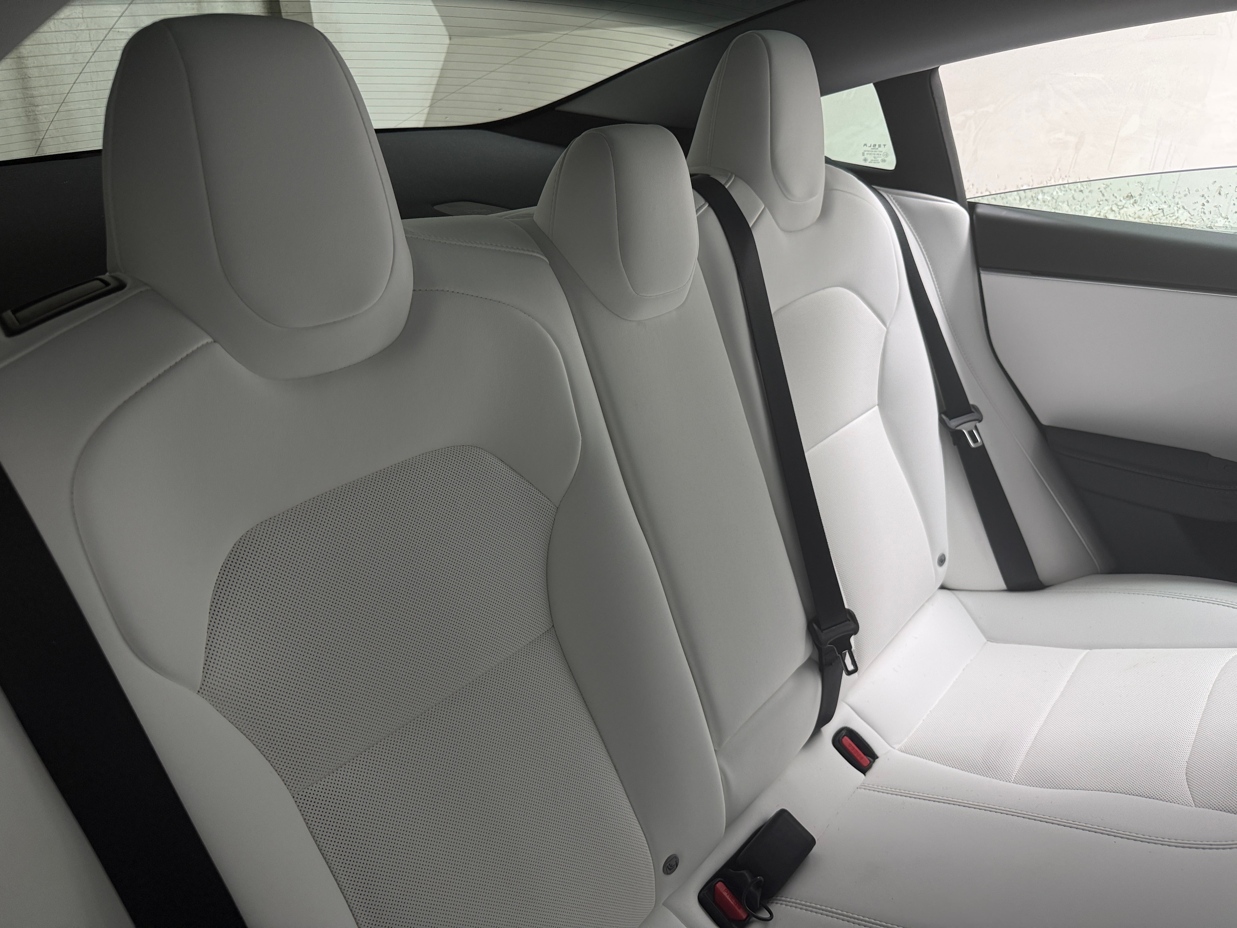 Used 2025 Tesla Model 3 Long Range with VIN 5YJ3E1EA2SF070884 for sale in Auburn, WA