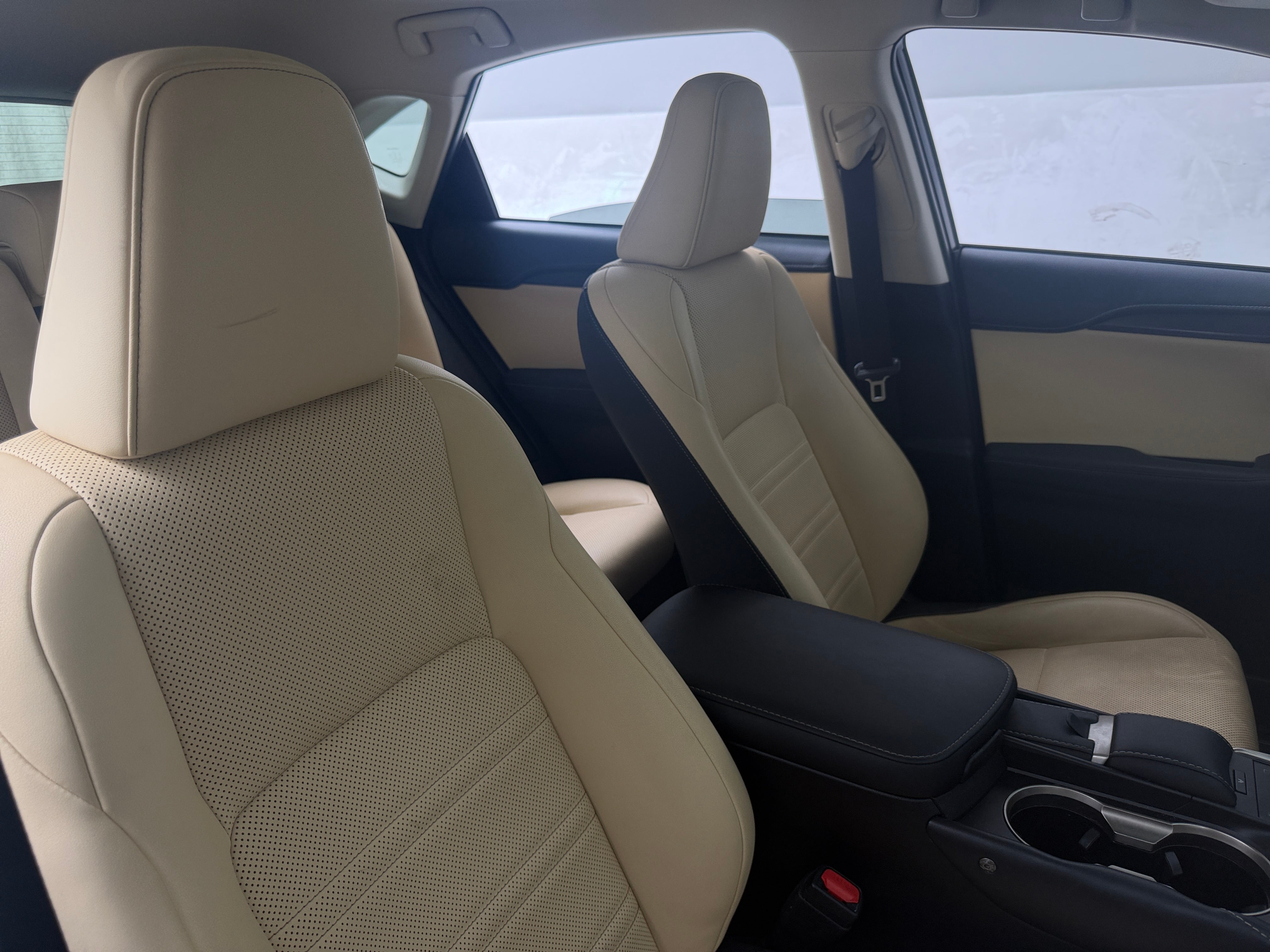 2020 Lexus NX Hybrid 300h