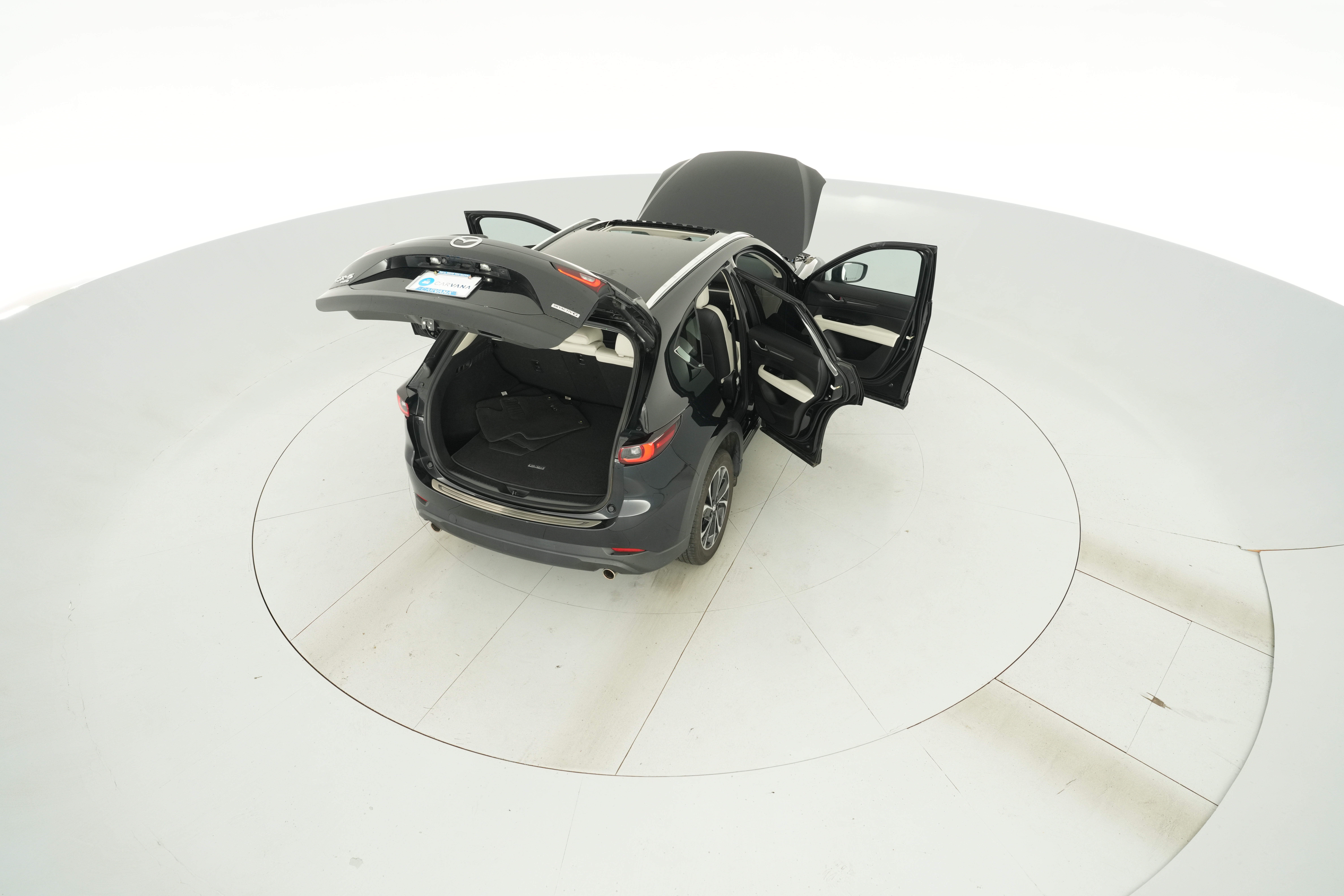 Photo 46