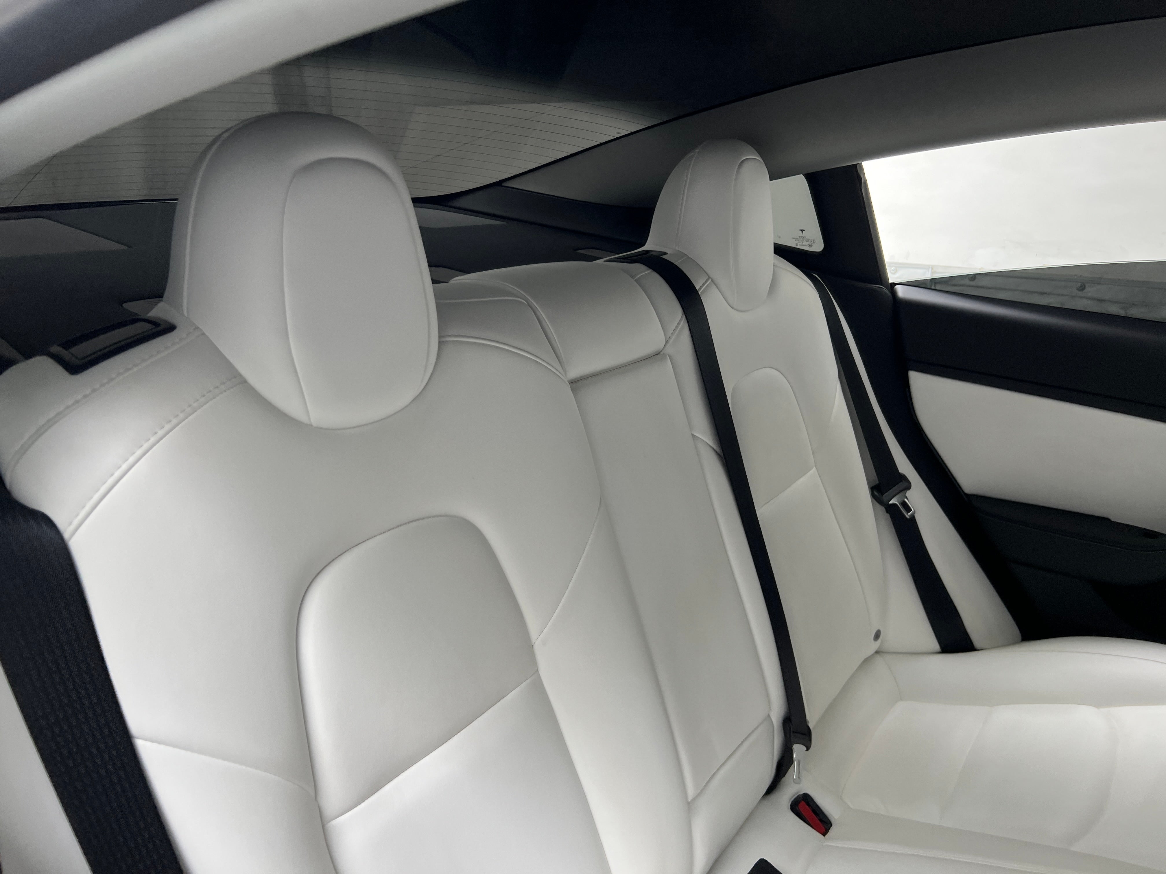 Used 2021 Tesla Model 3 Base with VIN 5YJ3E1EC1MF875330 for sale in Auburn, WA
