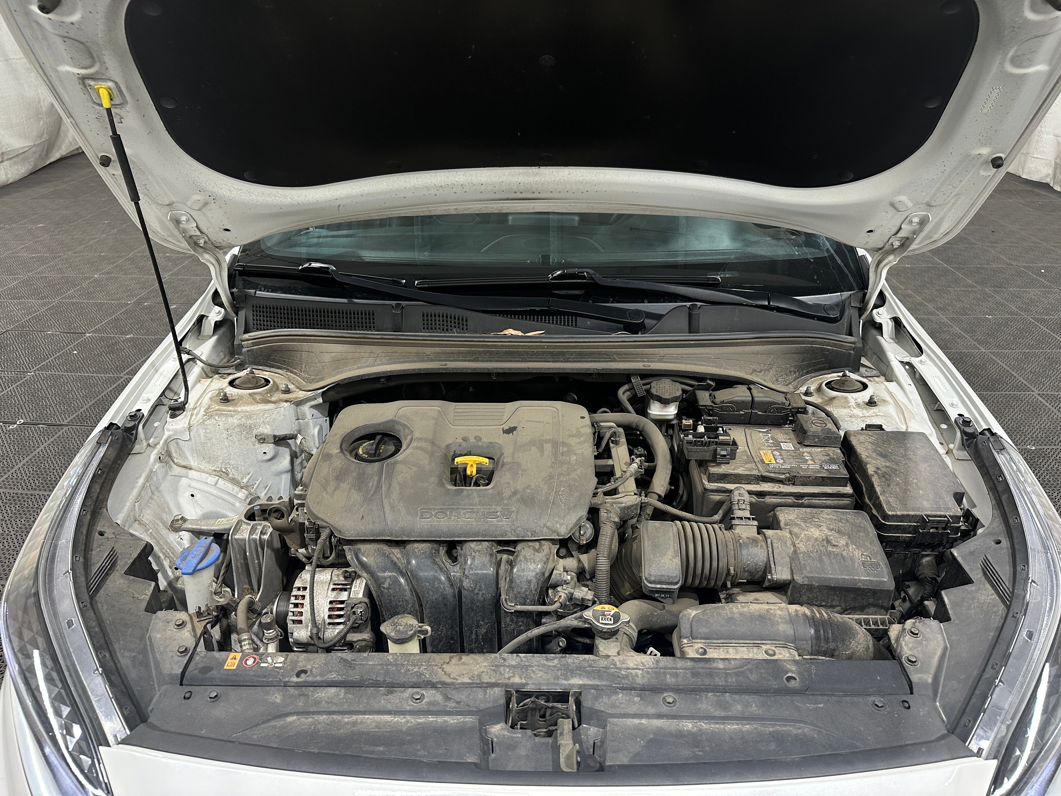 3KPF54ADXPE574501