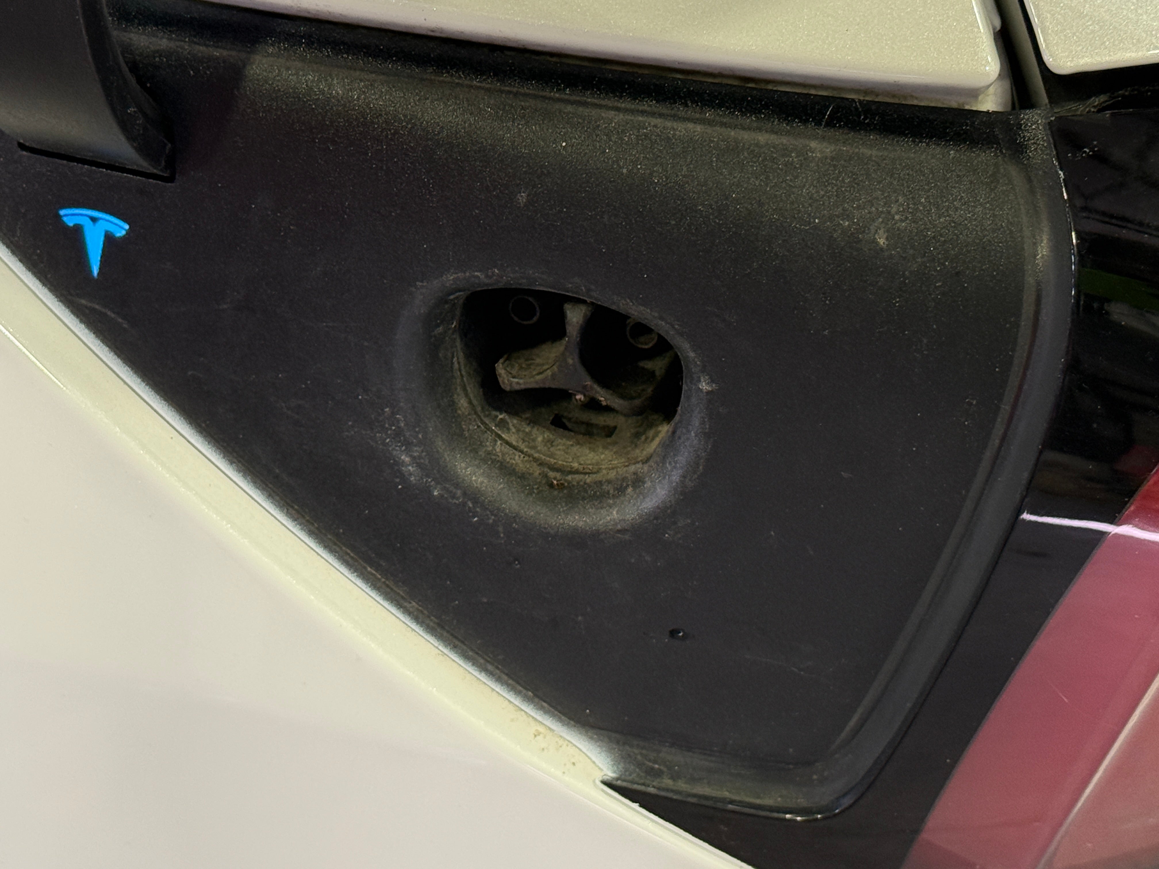 Used 2021 Tesla Model 3 Base with VIN 5YJ3E1EB1MF923674 for sale in Auburn, WA