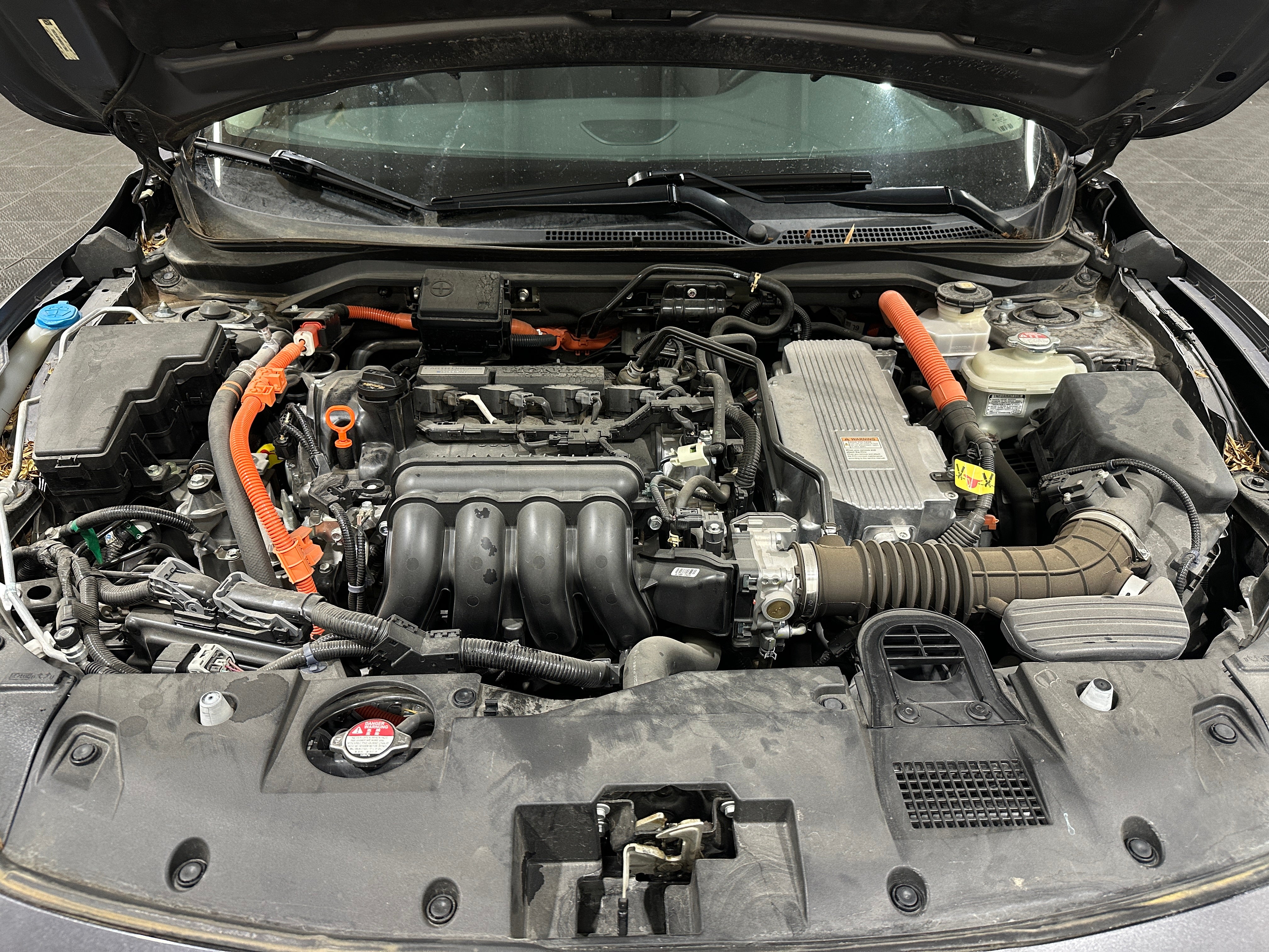 2019 Honda Insight