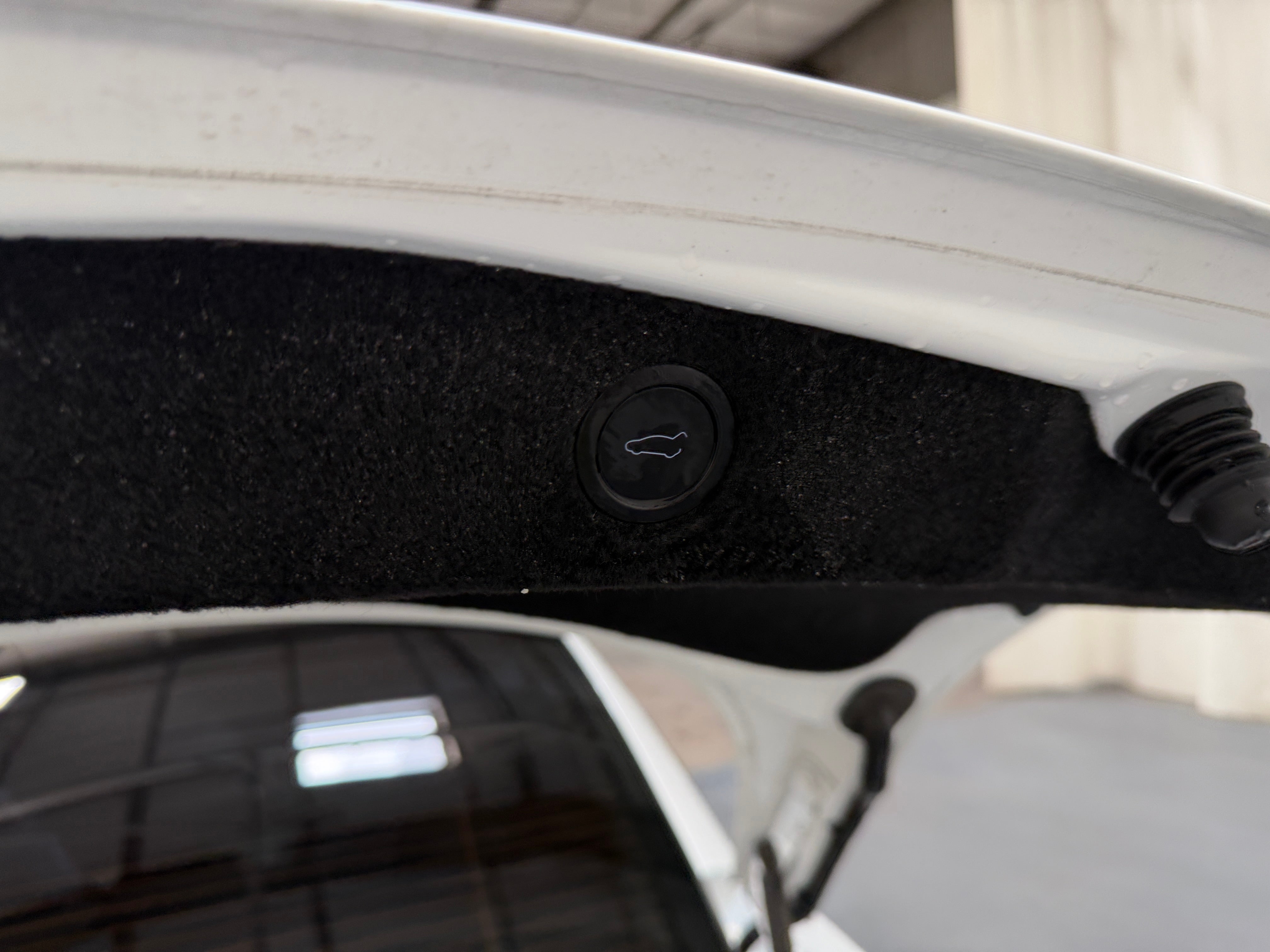 Used 2024 Tesla Model 3 Long Range with VIN 5YJ3E1EA5RF855877 for sale in Auburn, WA