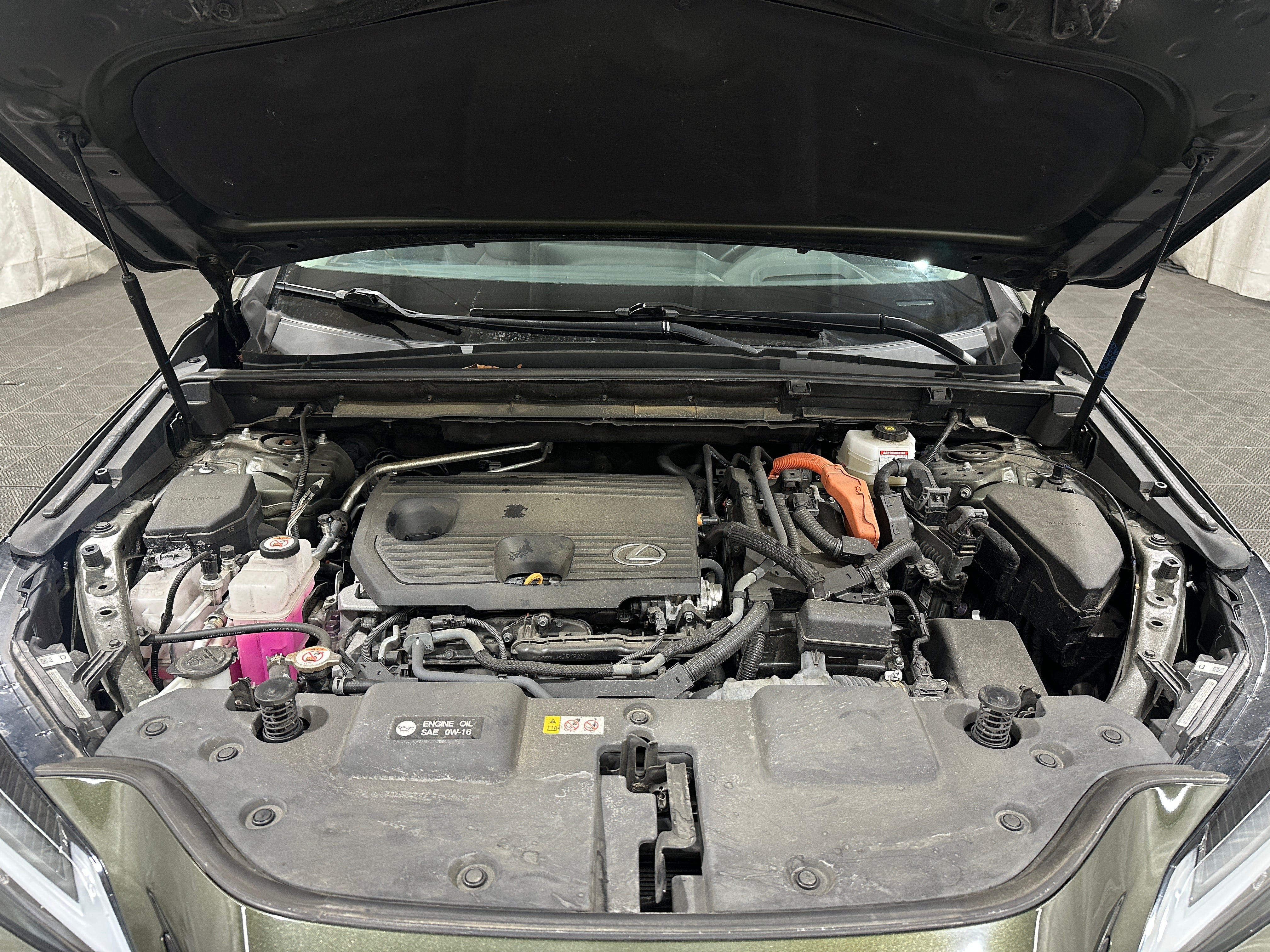 2023 Lexus NX Hybrid