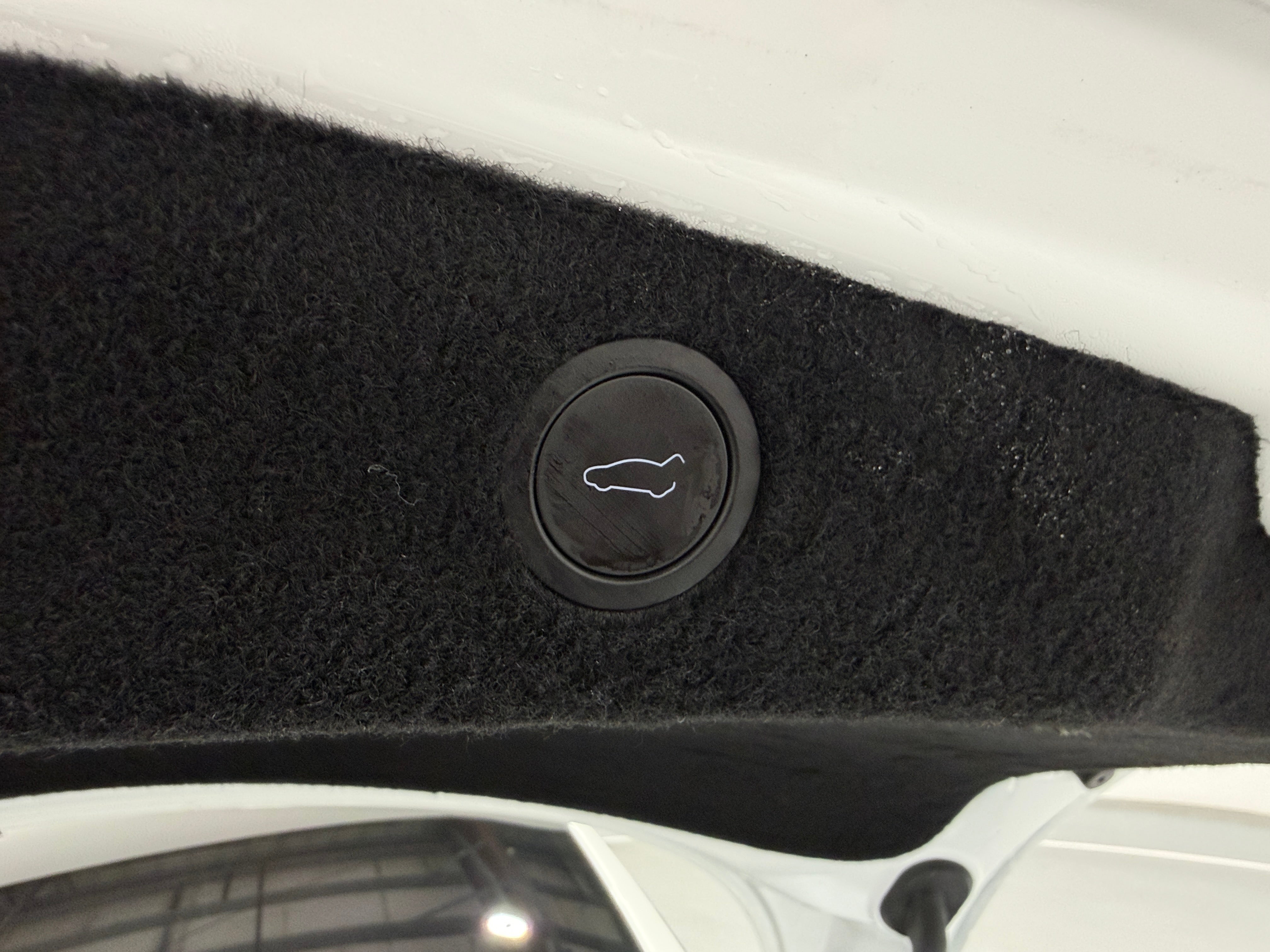 Used 2025 Tesla Model 3 Long Range with VIN 5YJ3E1EA2SF919010 for sale in Auburn, WA