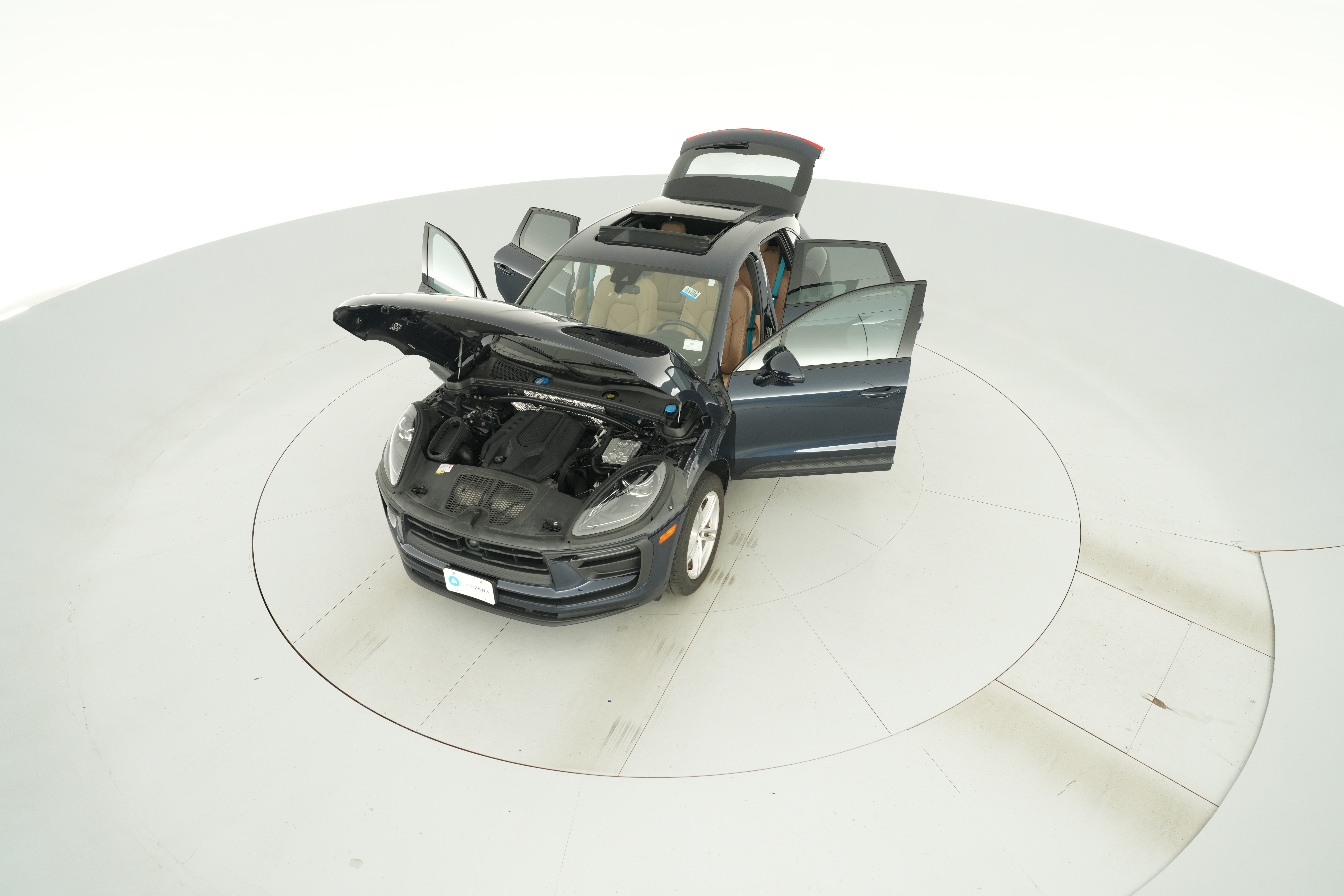 Photo 44