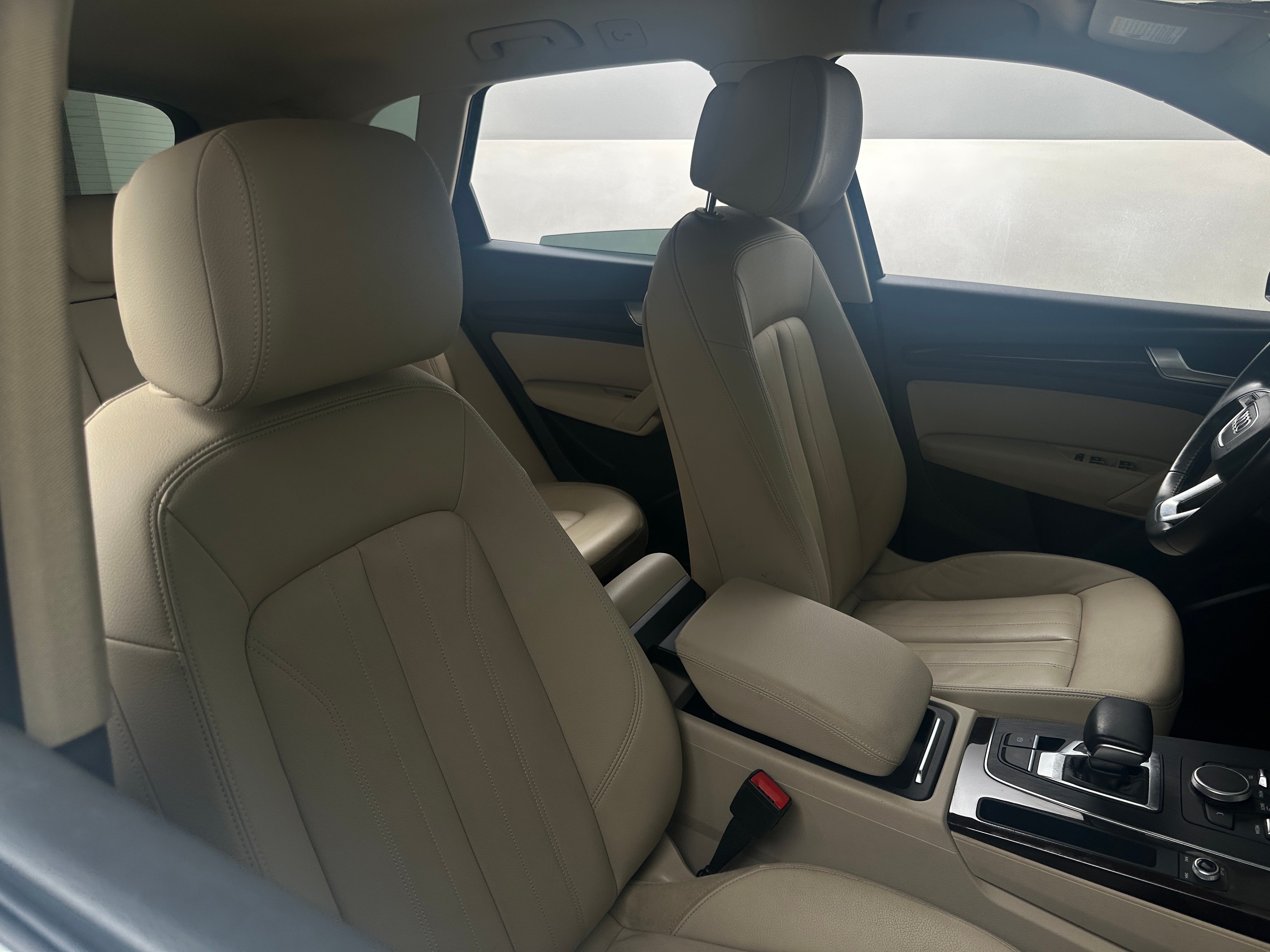 2019 Audi Q5