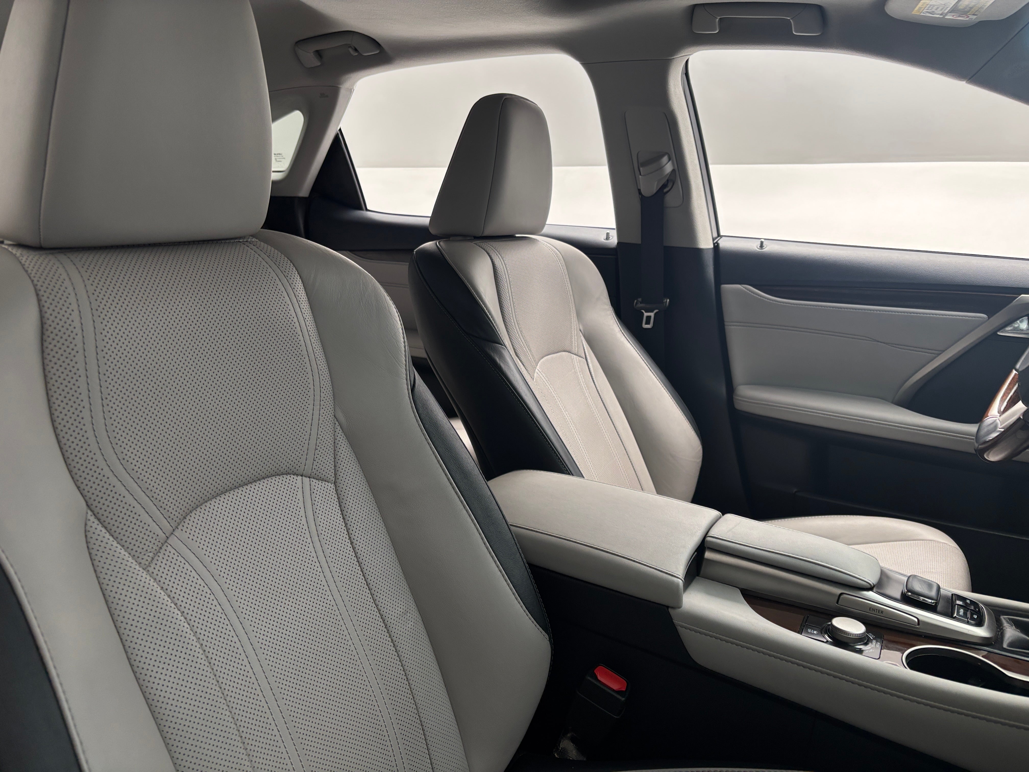 2019 Lexus RX