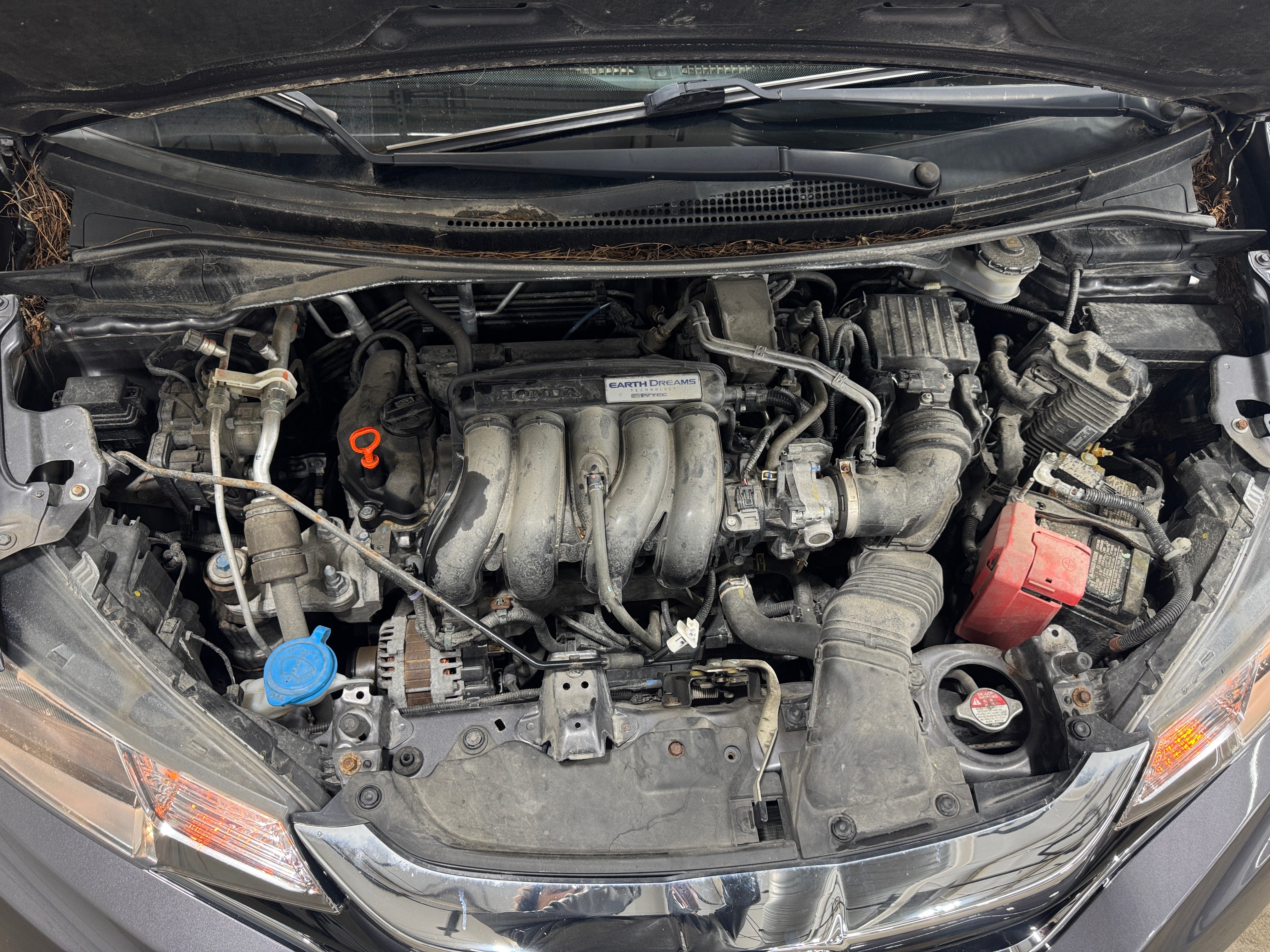 2019 Honda Fit