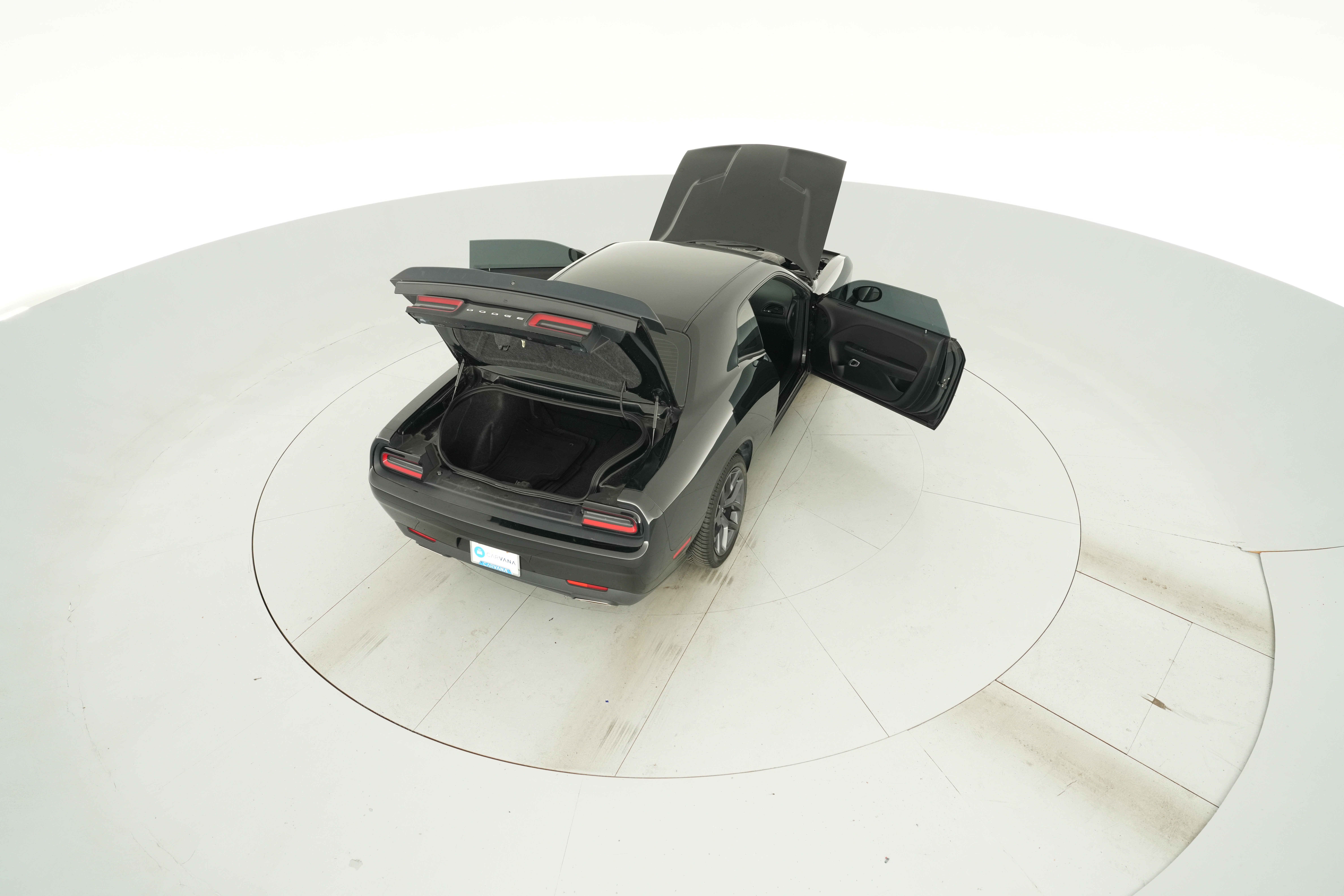 Photo 41