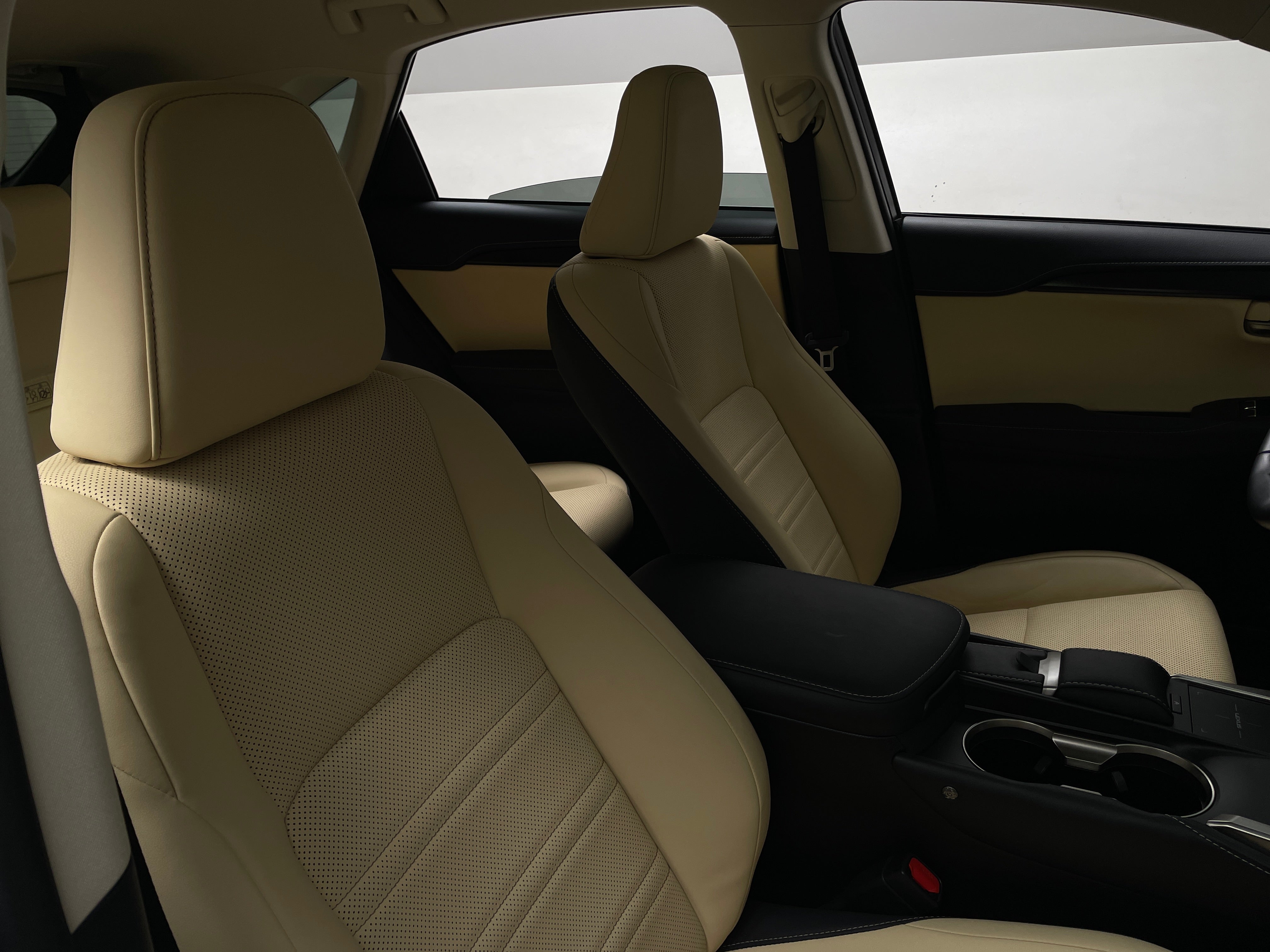 2019 Lexus NX 300