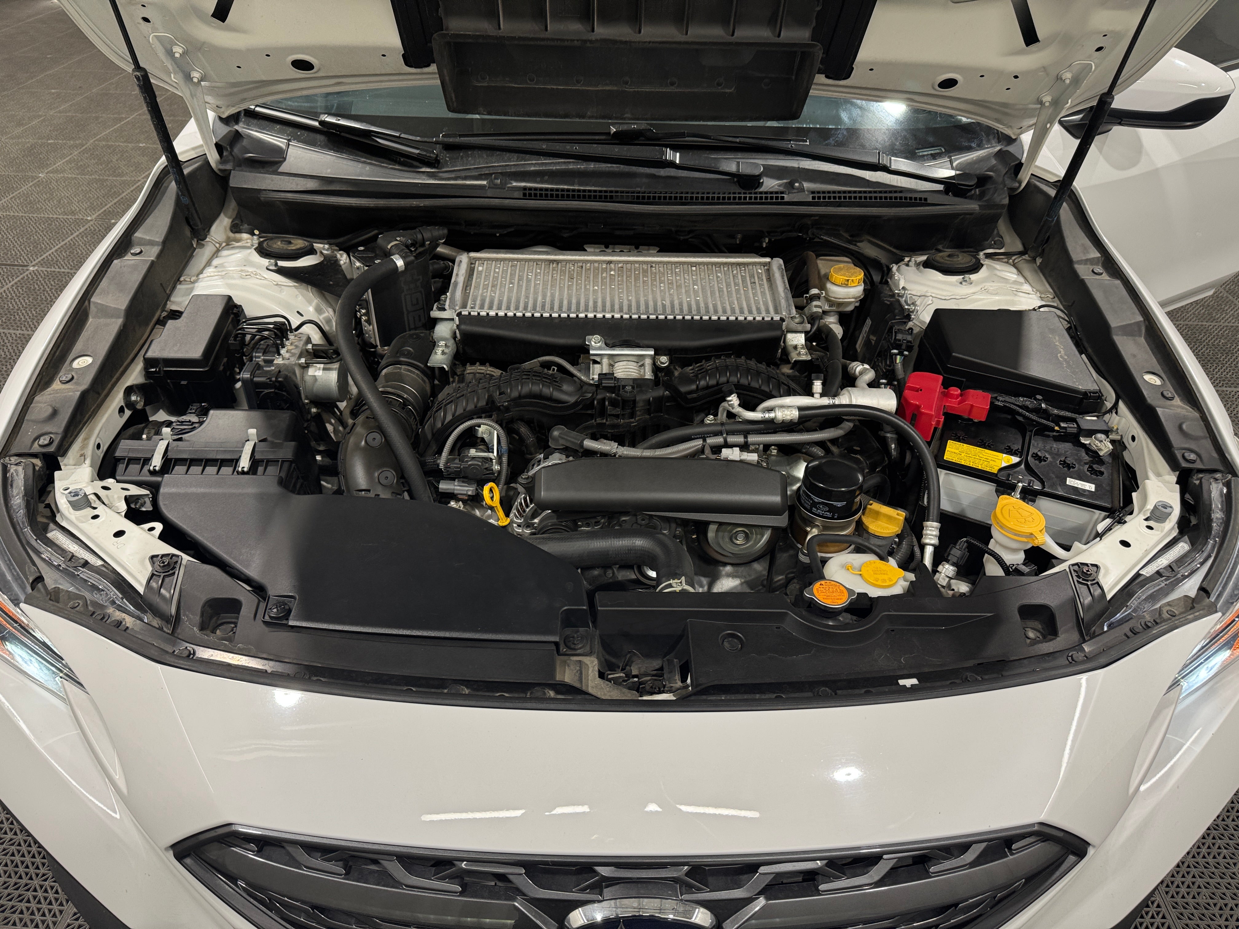 2023 Subaru WRX