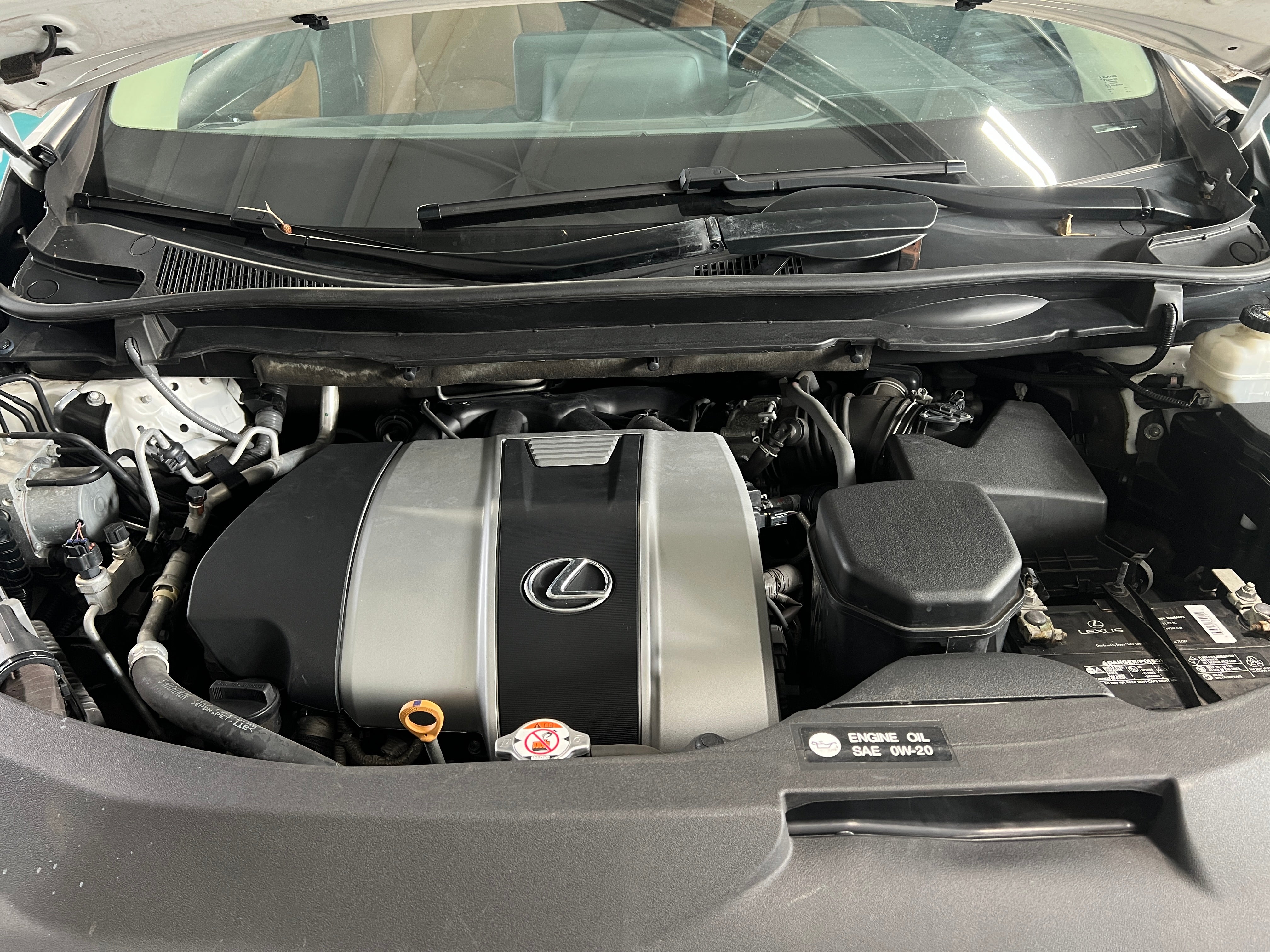 2021 Lexus RX