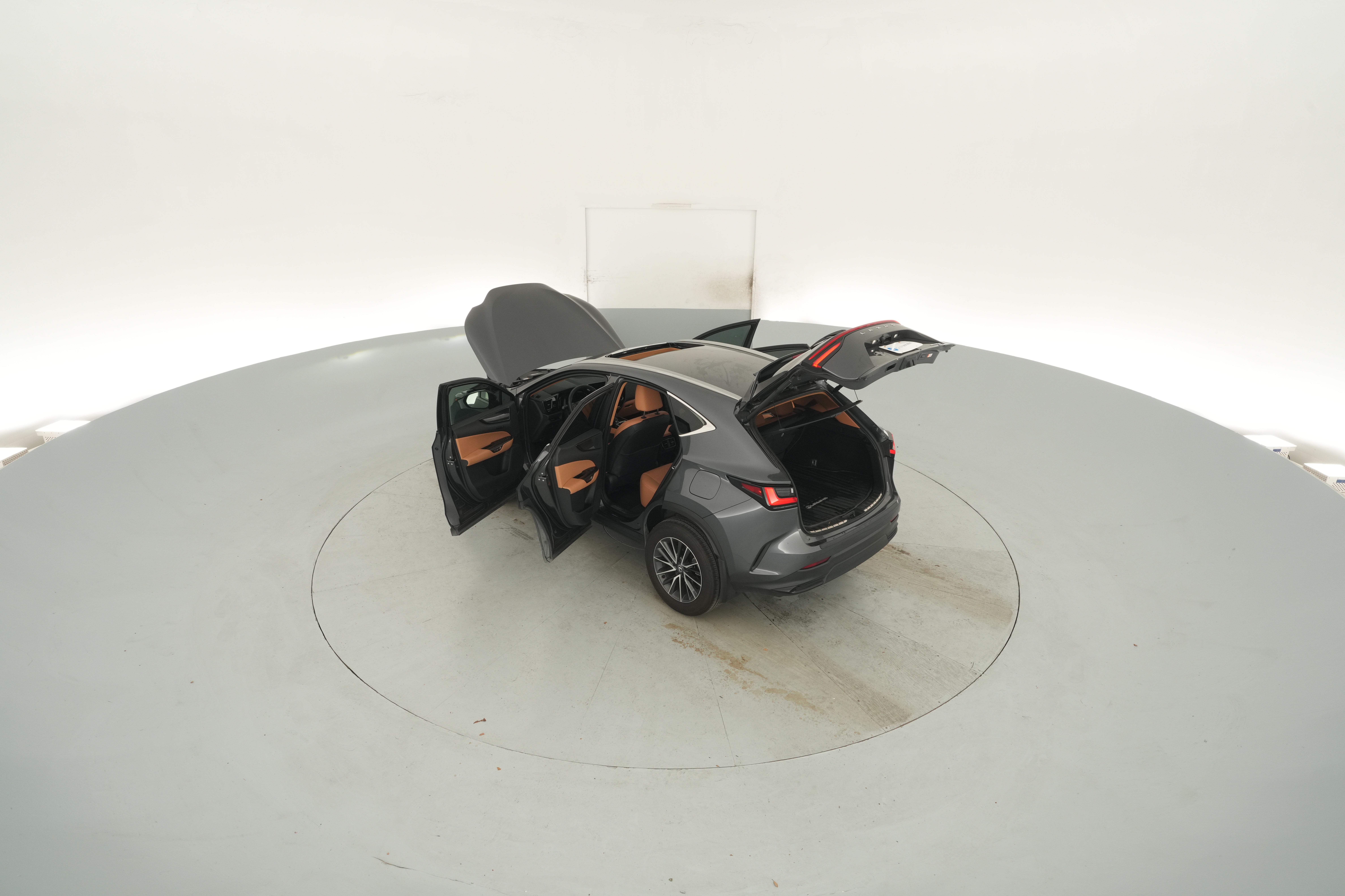 Photo 45