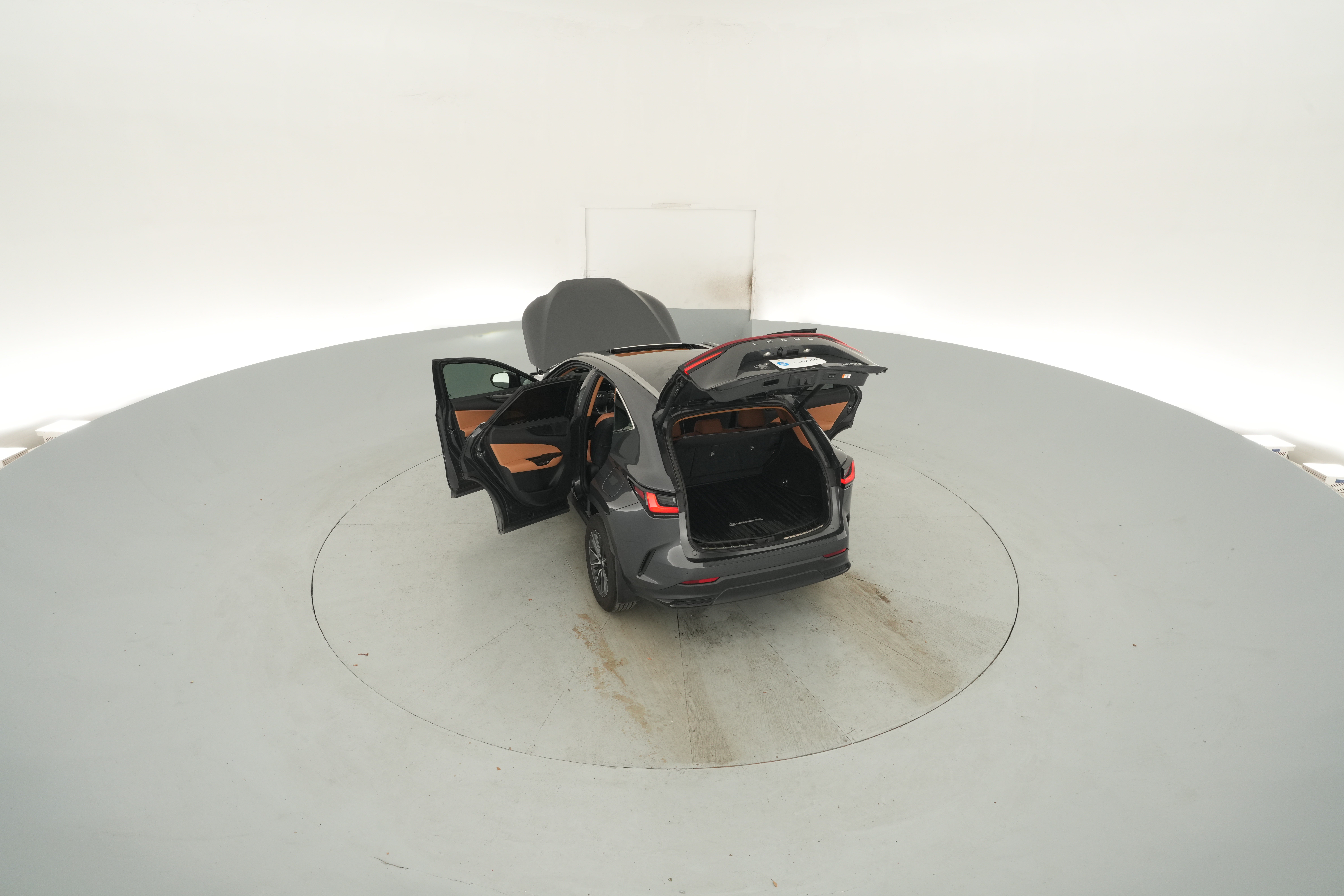 Photo 46