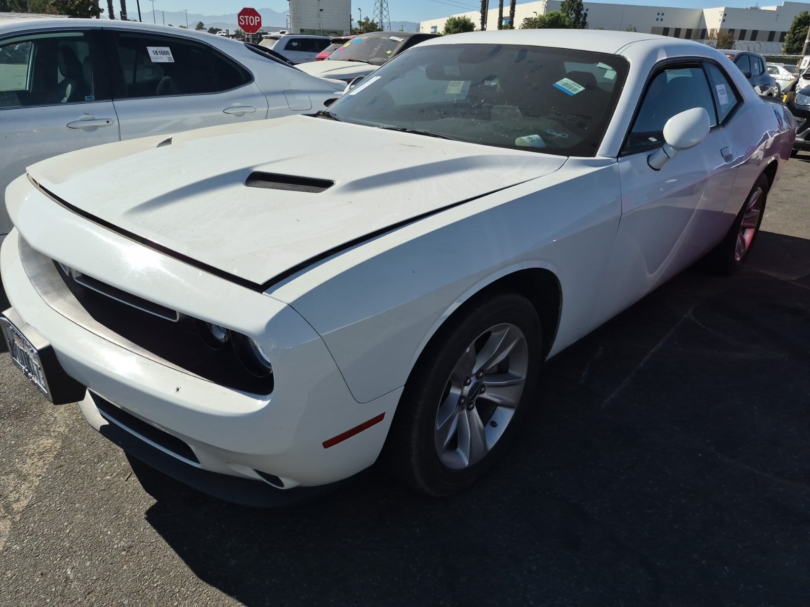 2023 Dodge Challenger SXT