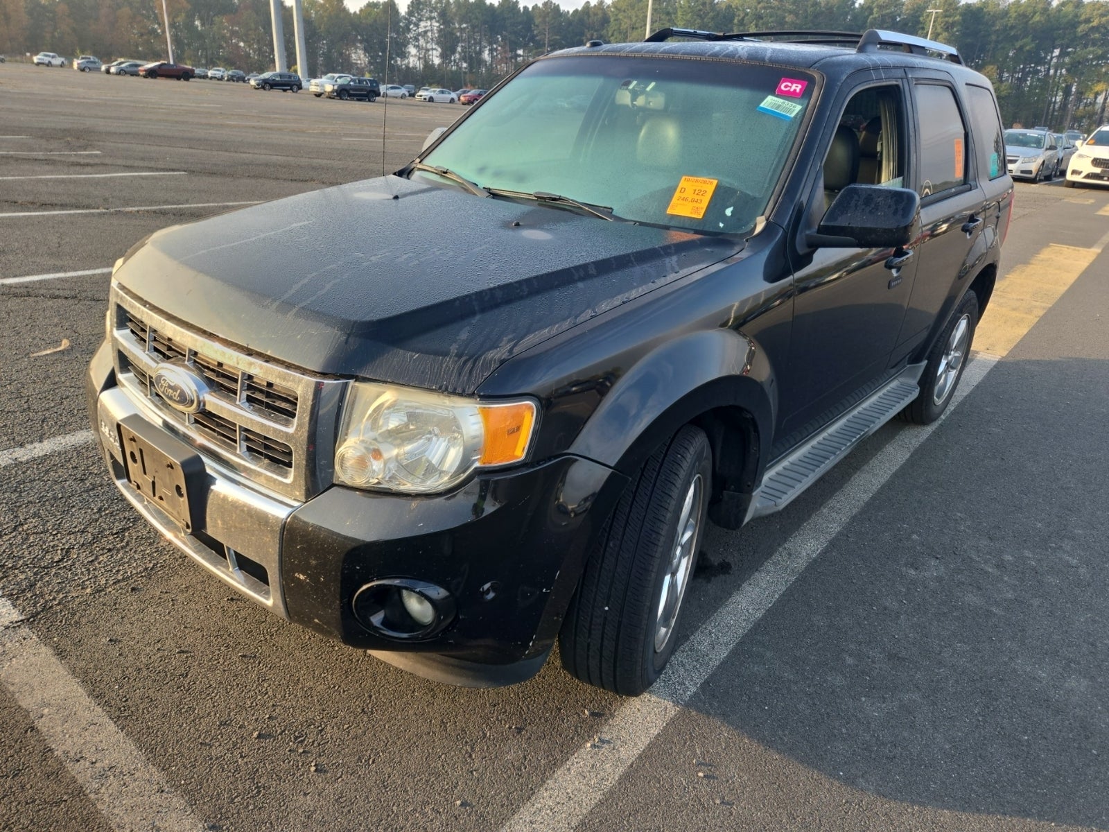 2012 Ford Escape Limited