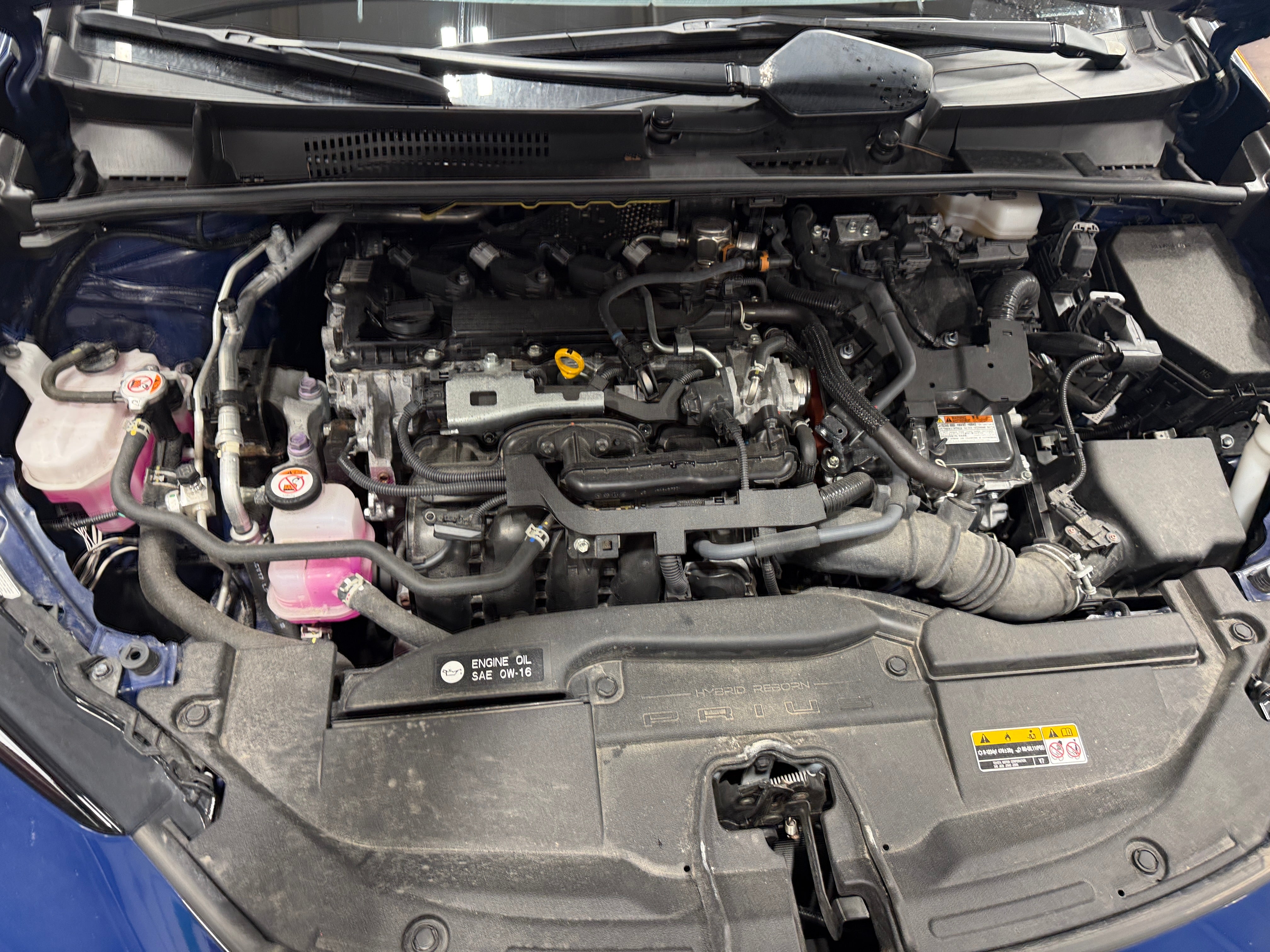 2024 Toyota Prius