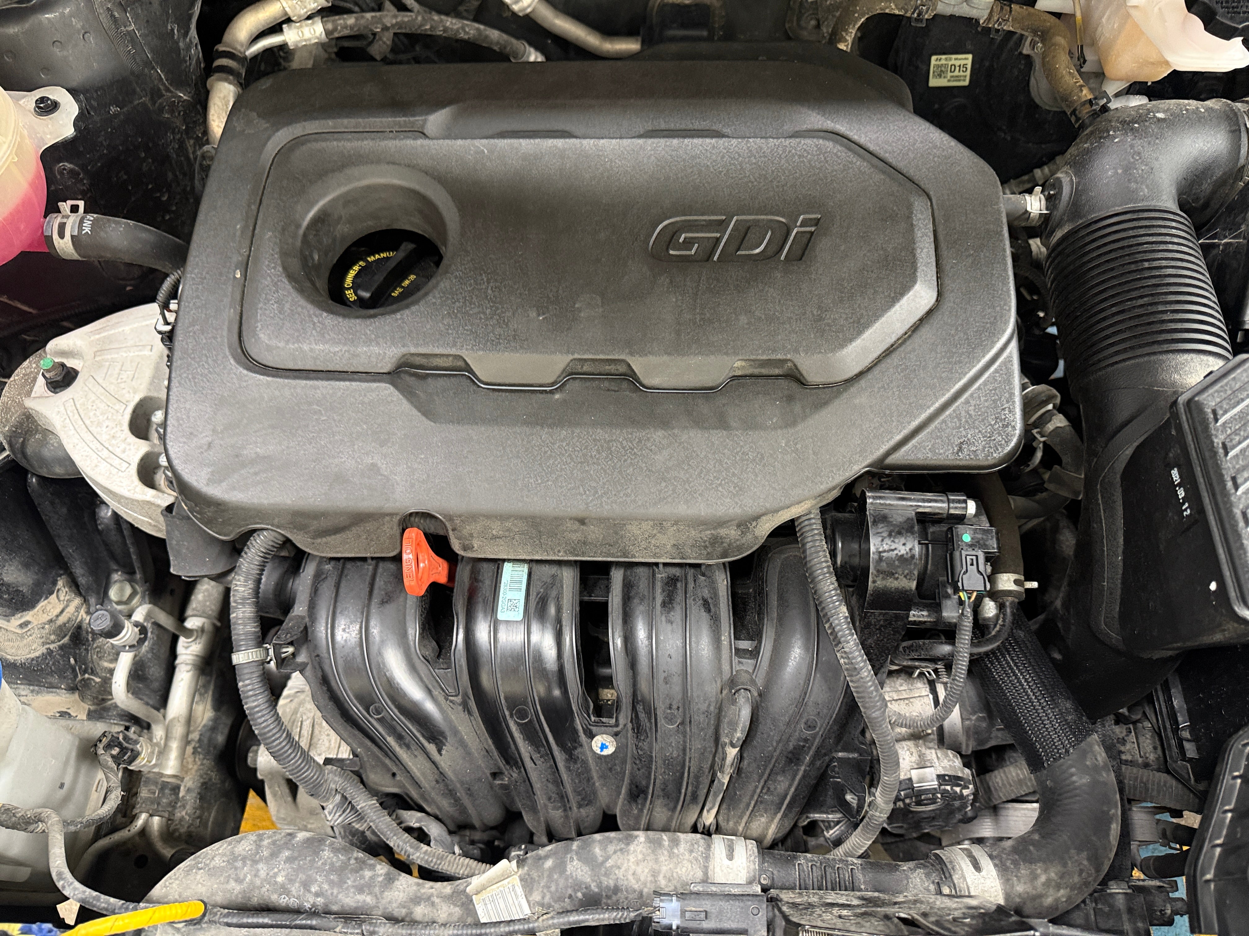 2022 Kia Sportage