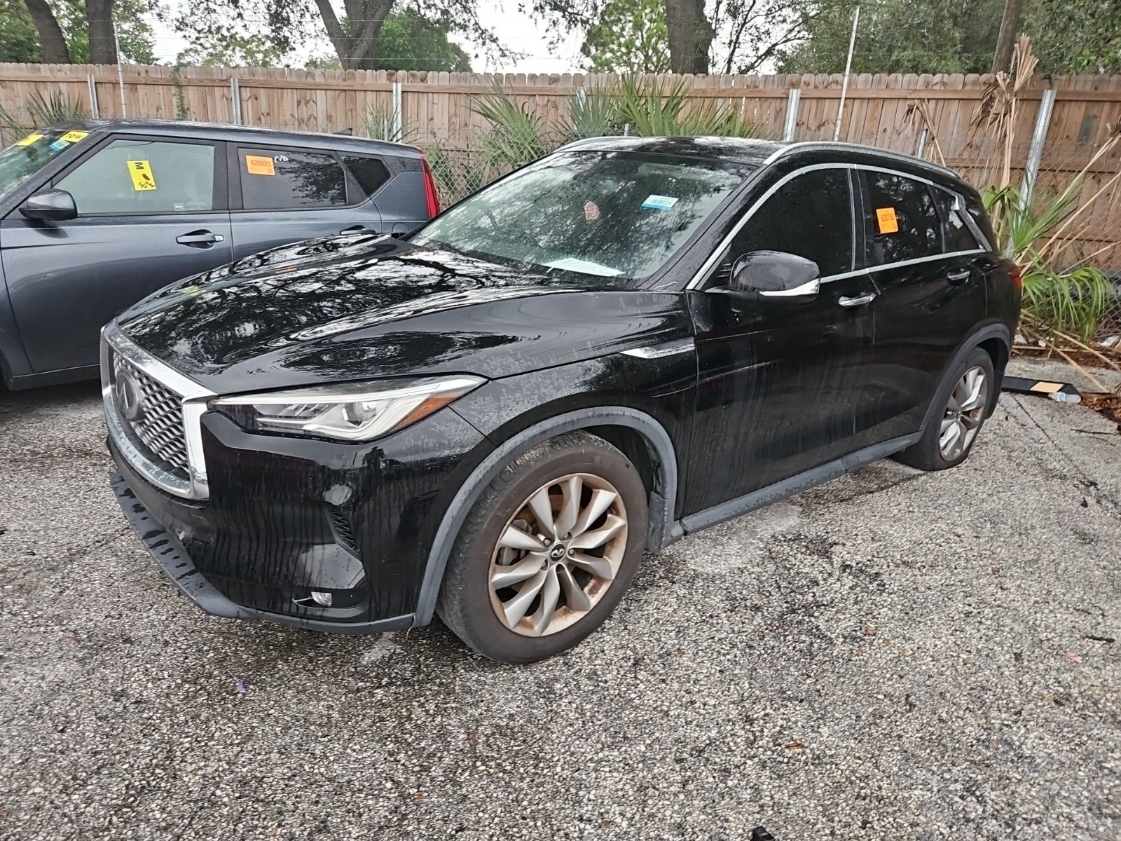 2019 Infiniti QX50 Luxe