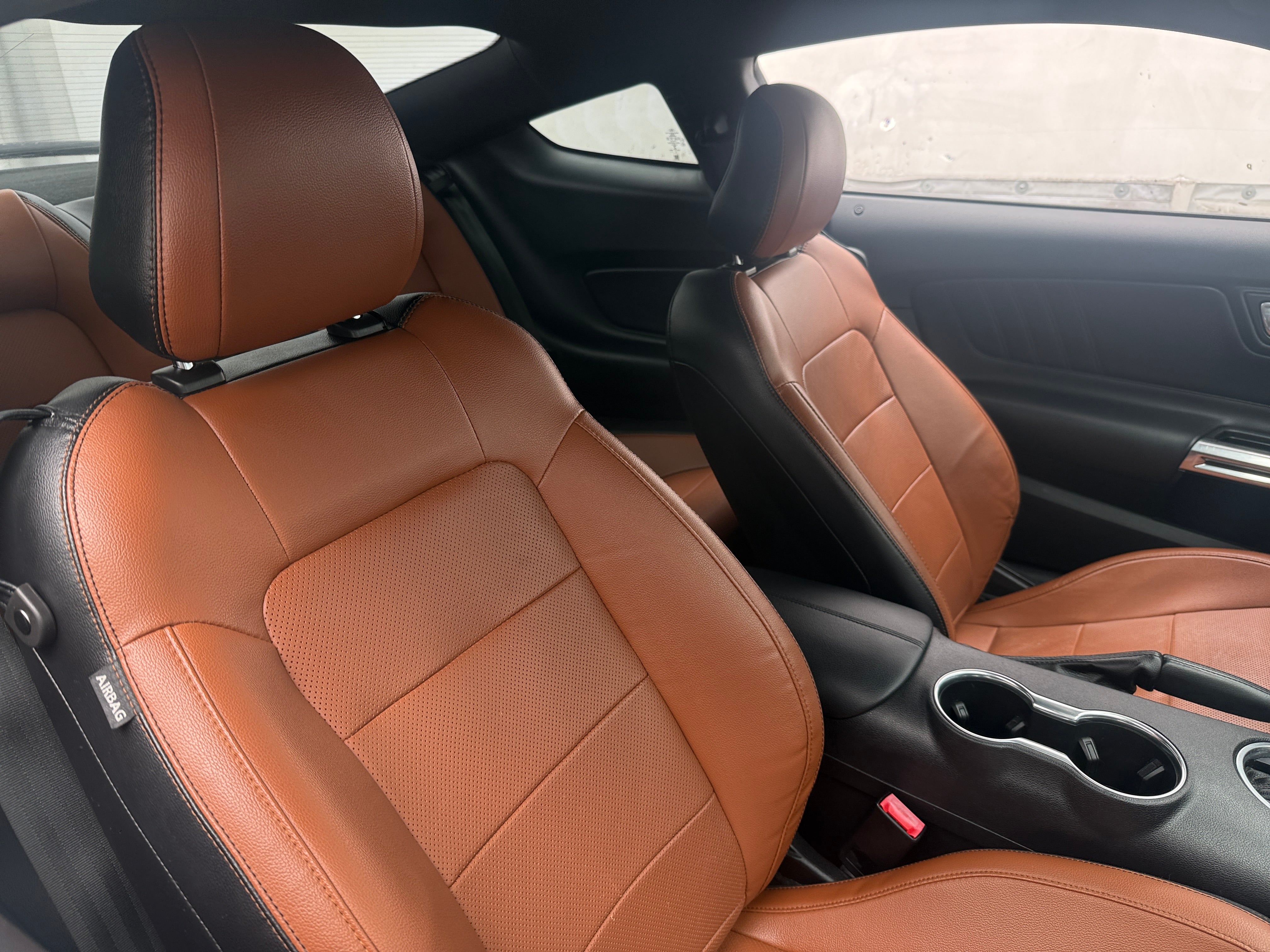 2019 Ford Mustang