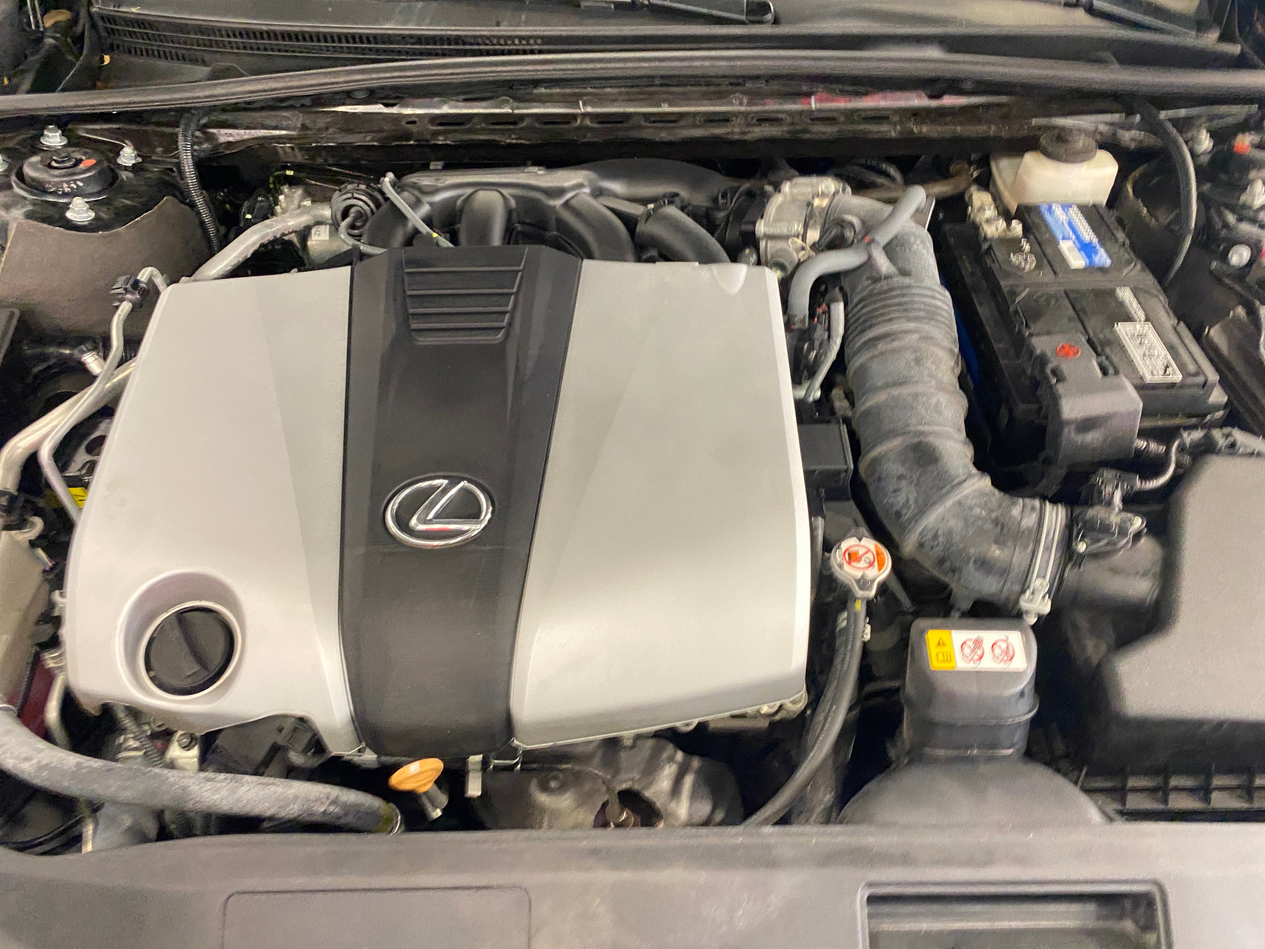 2021 Lexus ES 350