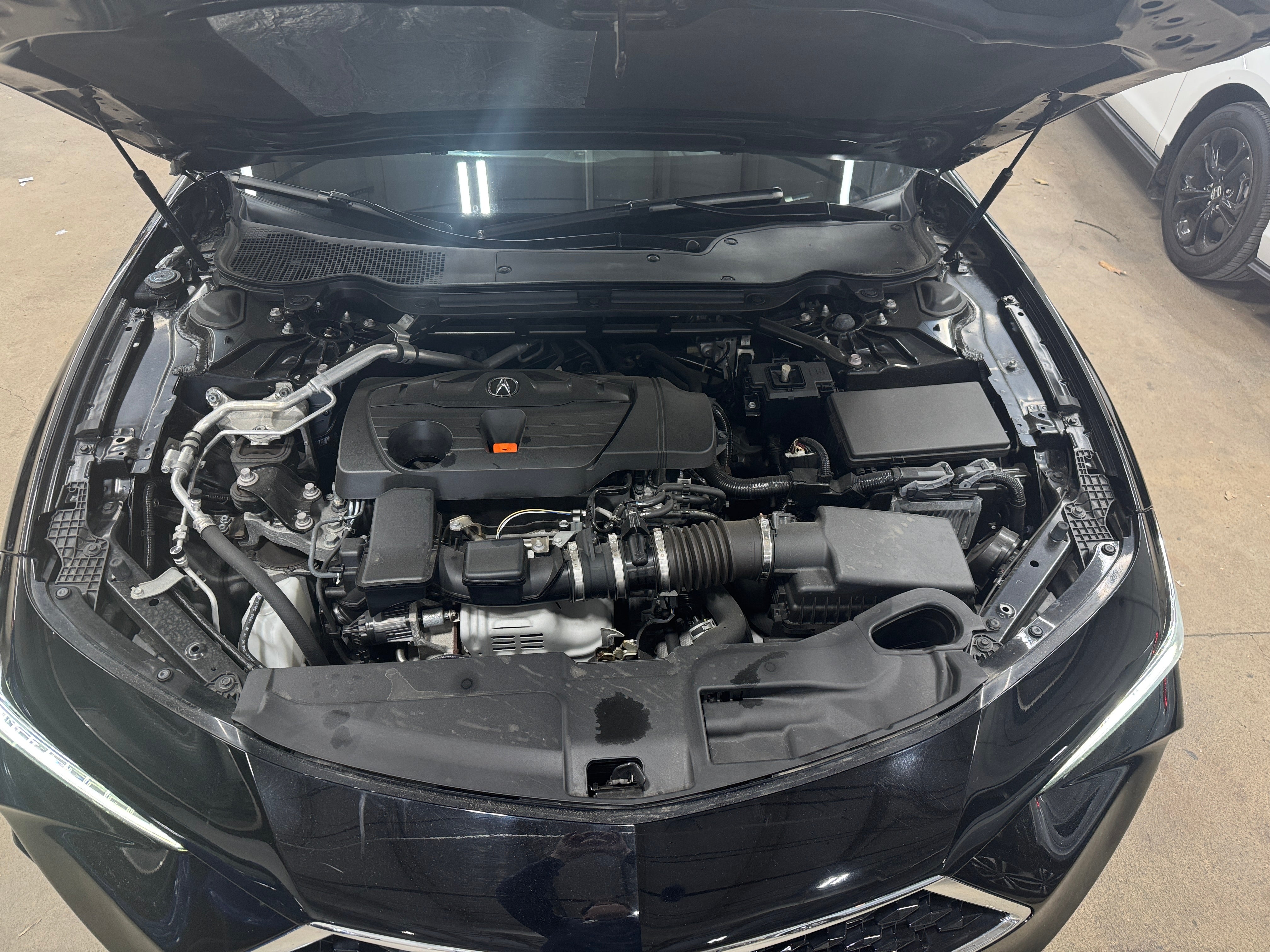 2023 Acura TLX