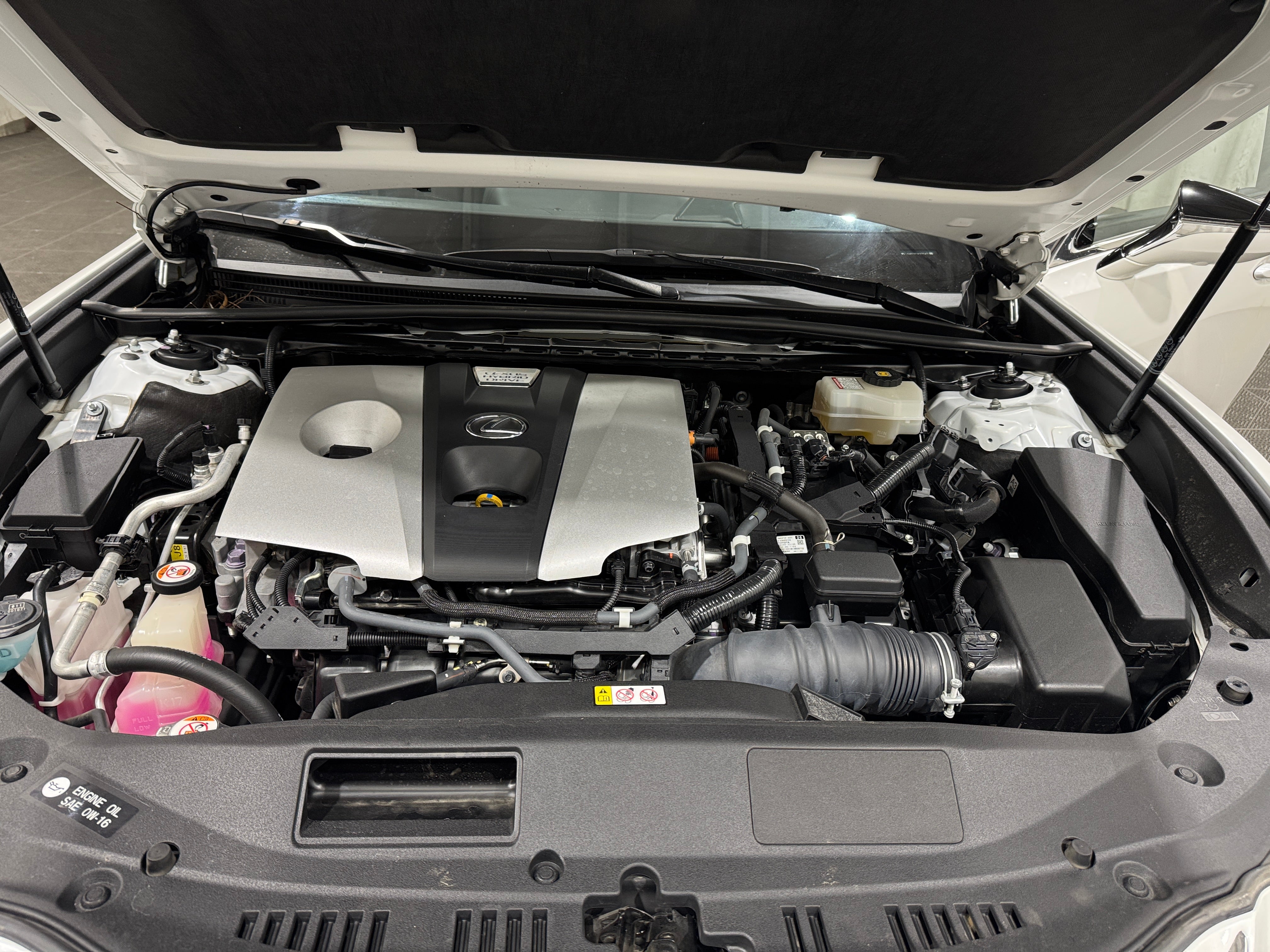 2019 Lexus ES Hybrid 300h Luxury