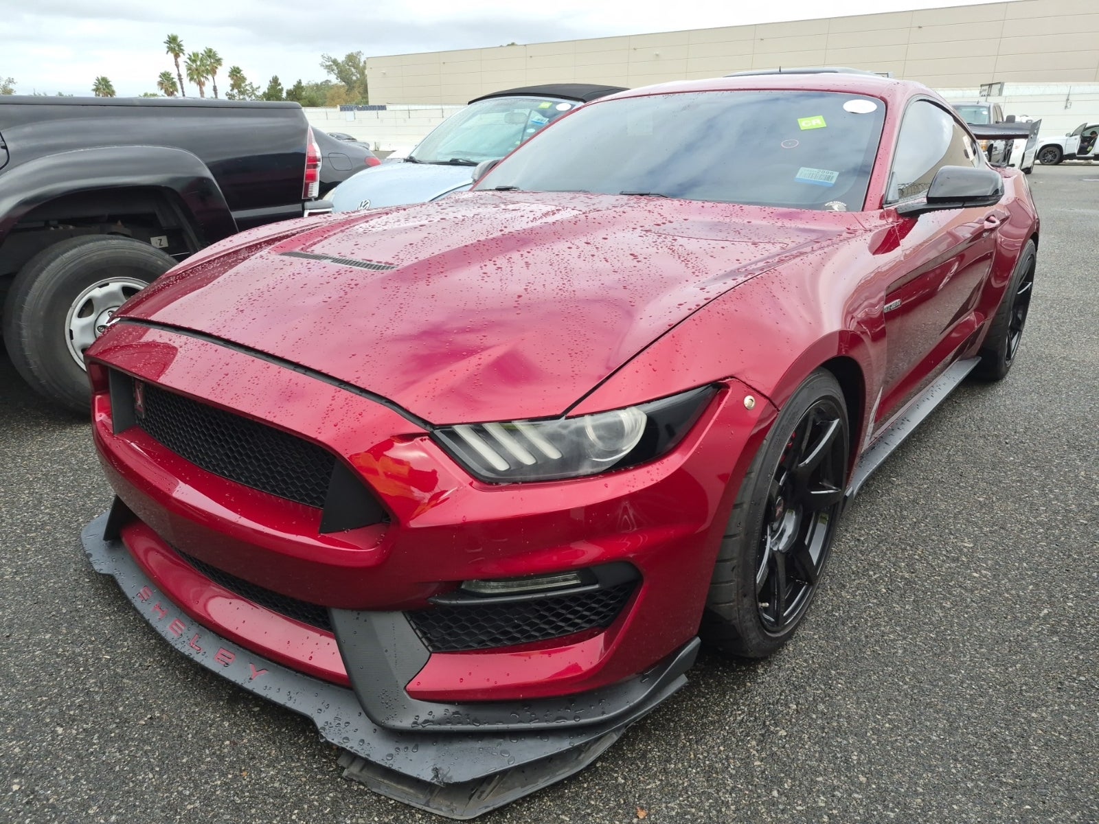 2017 Ford Shelby GT350 Shelby GT350