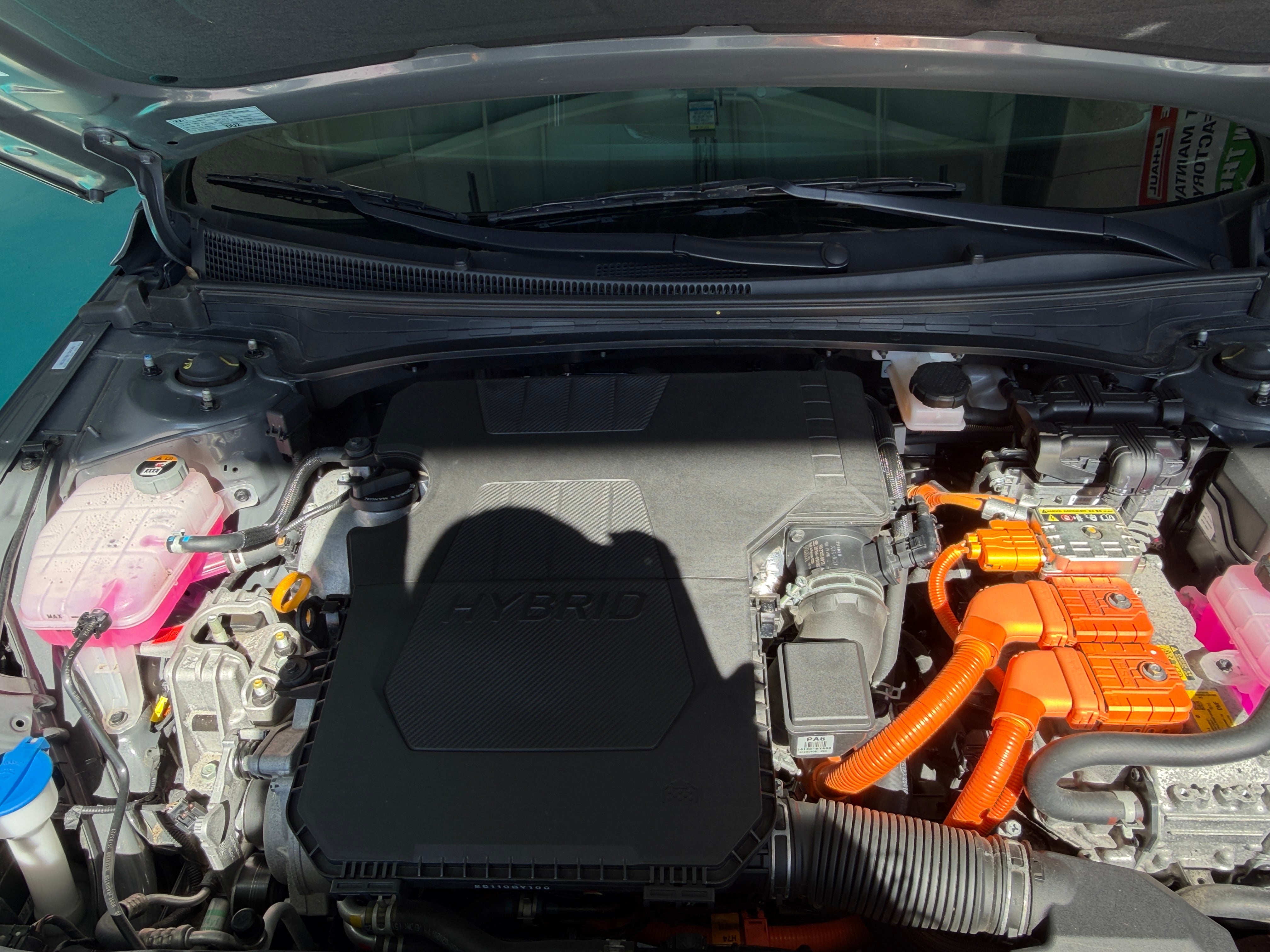 2025 Hyundai Elantra Blue