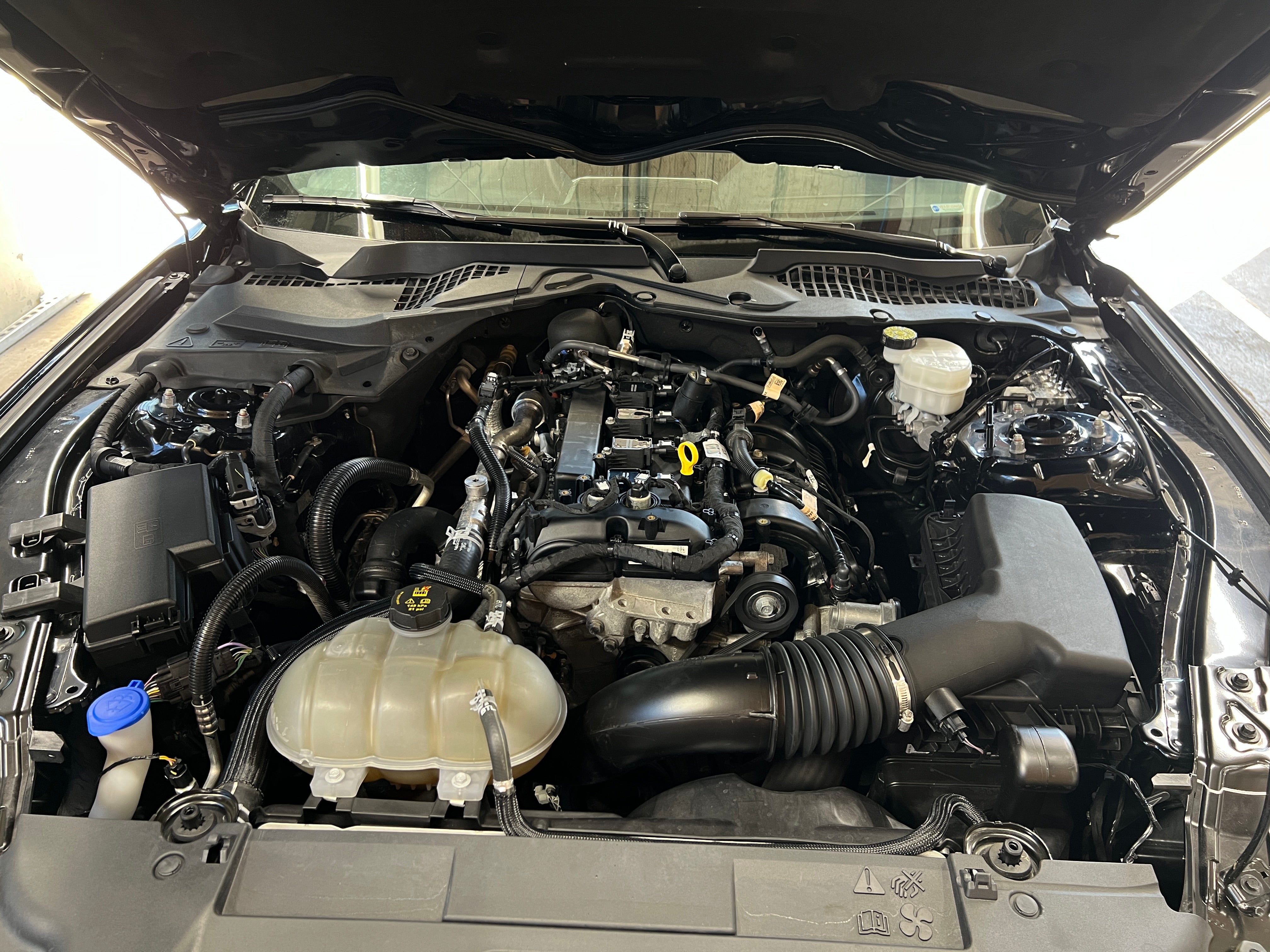 2023 Ford Mustang