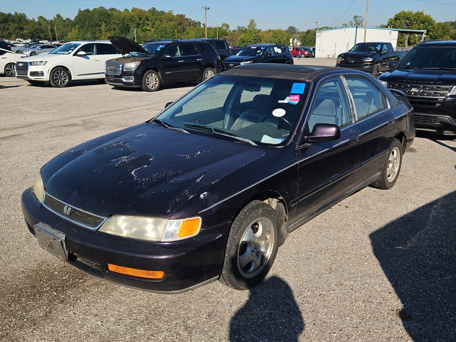 1997 Honda Accord Special Edition