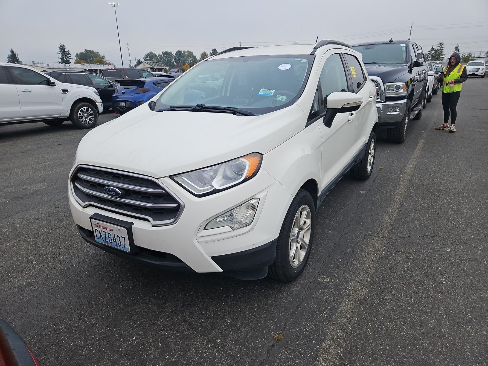2018 Ford Ecosport SE