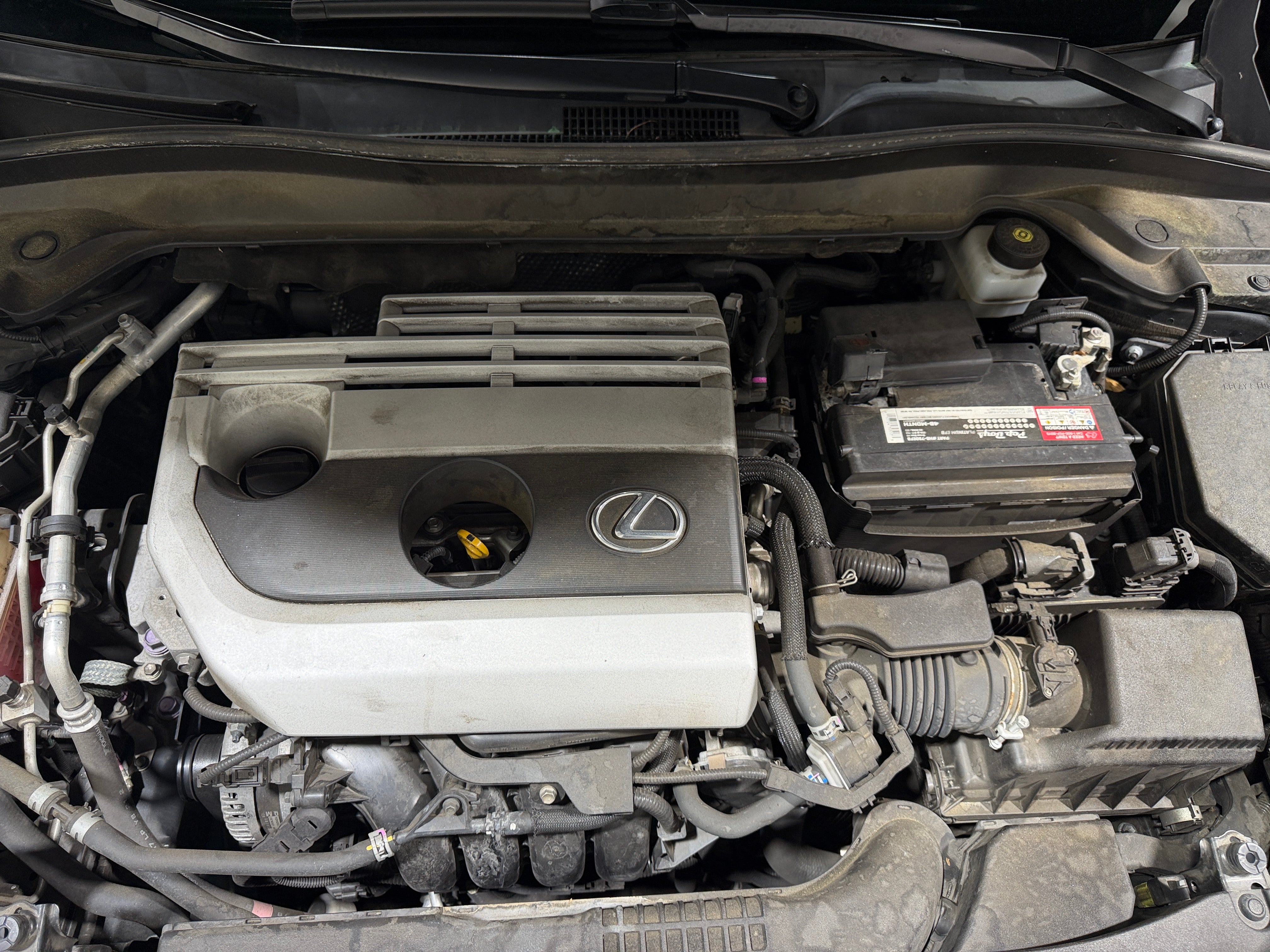2019 Lexus UX