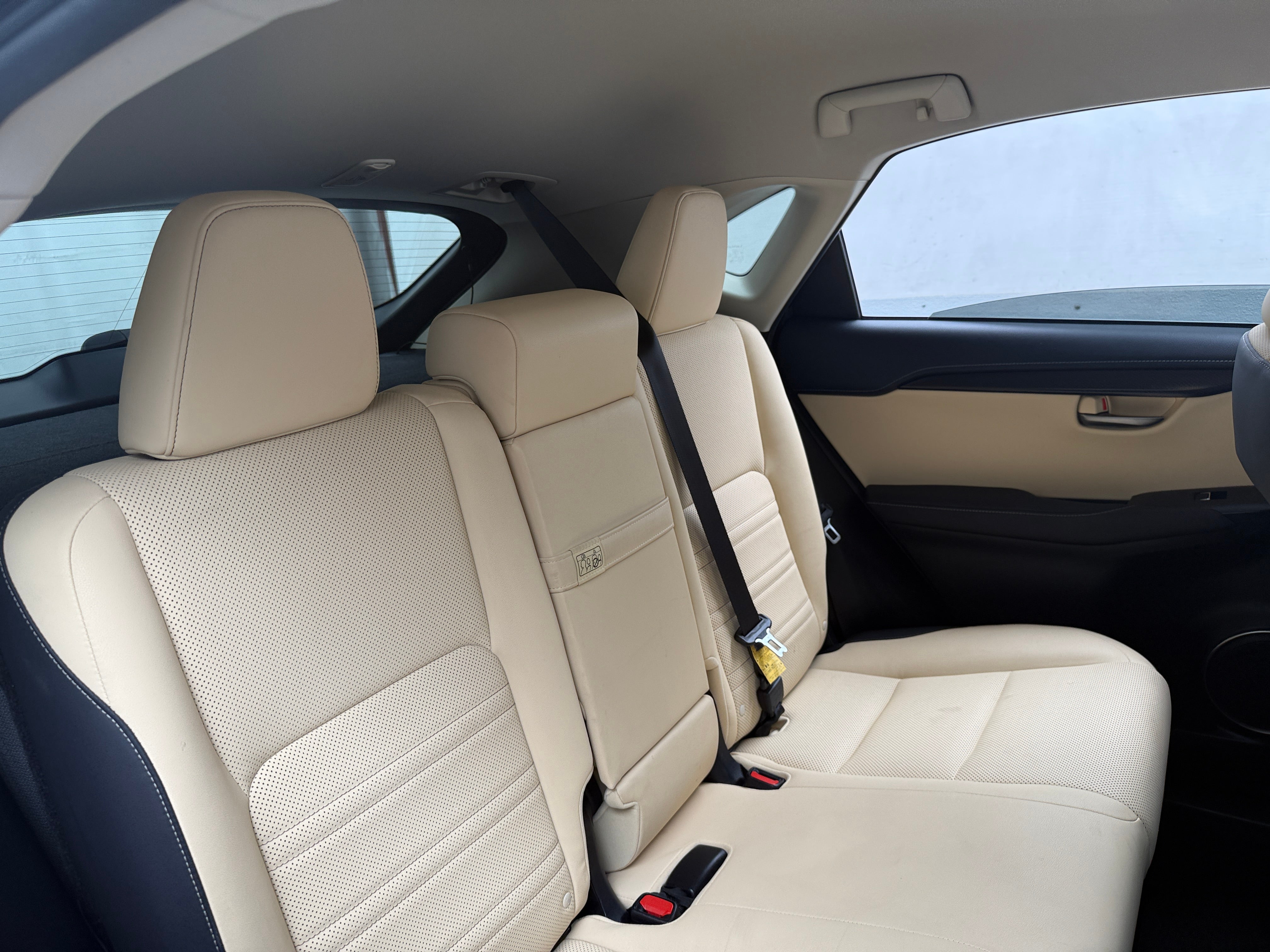 2019 Lexus NX Hybrid