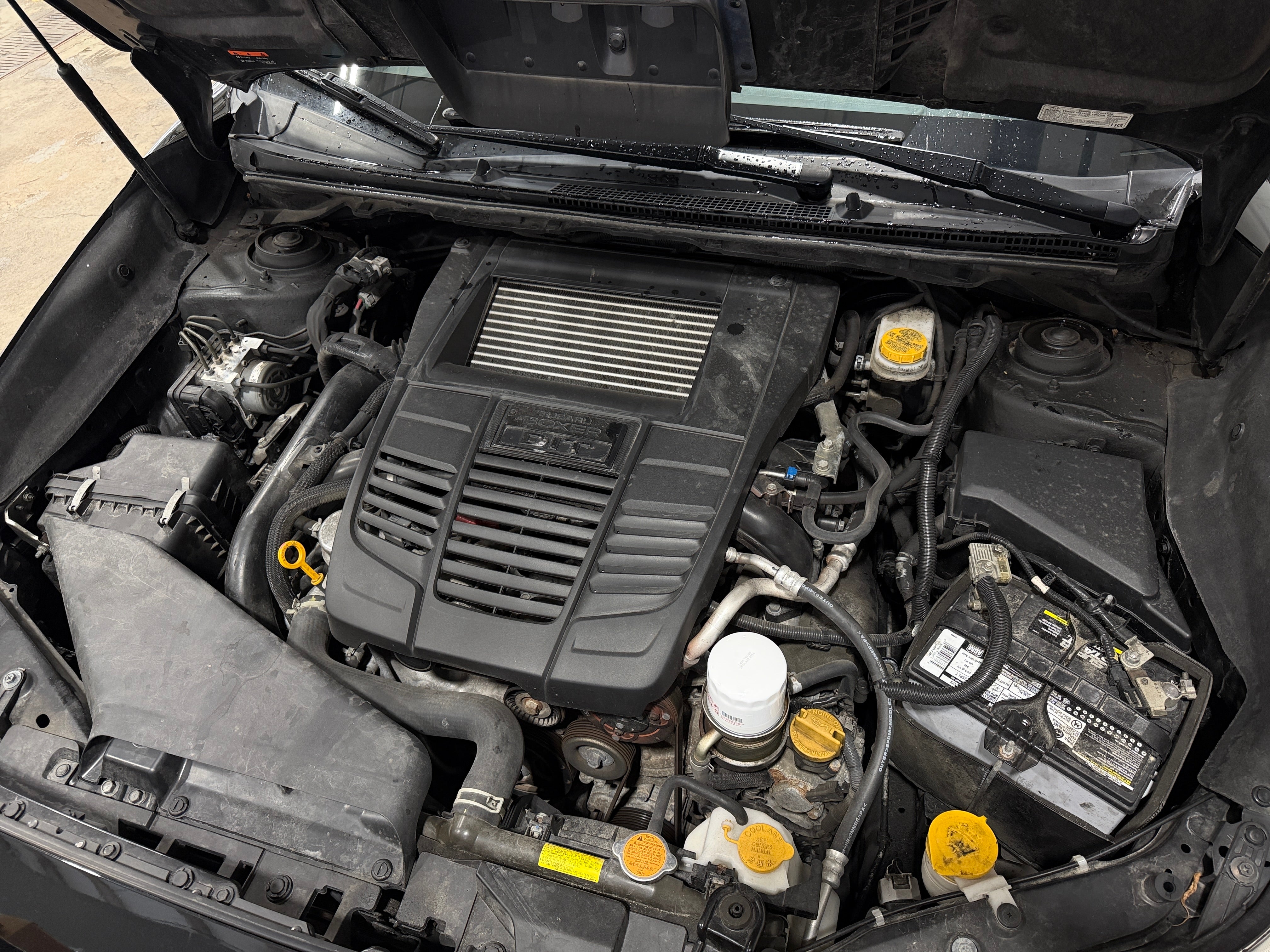 2021 Subaru WRX