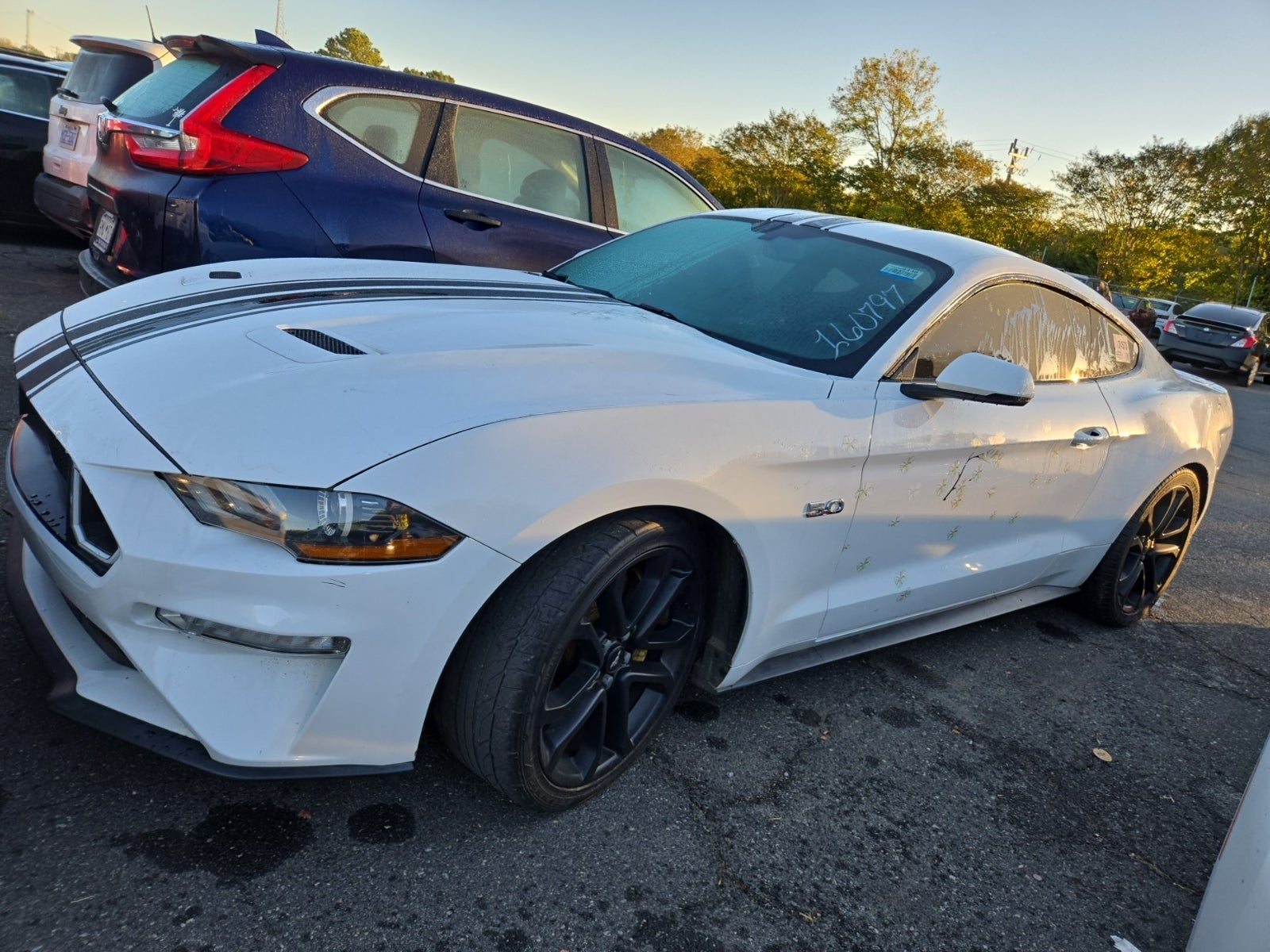 2019 Ford Mustang GT Premium