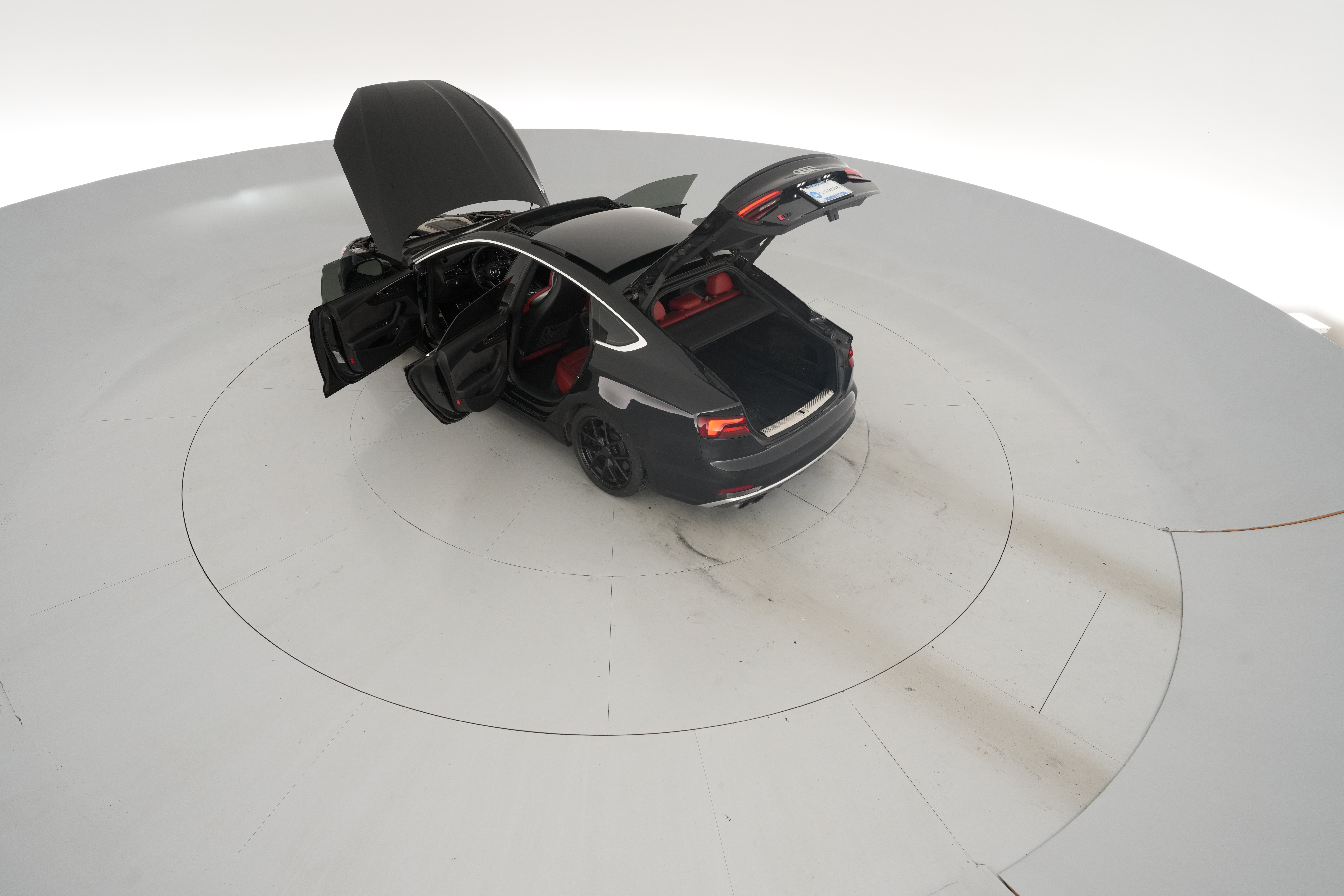 Photo 50