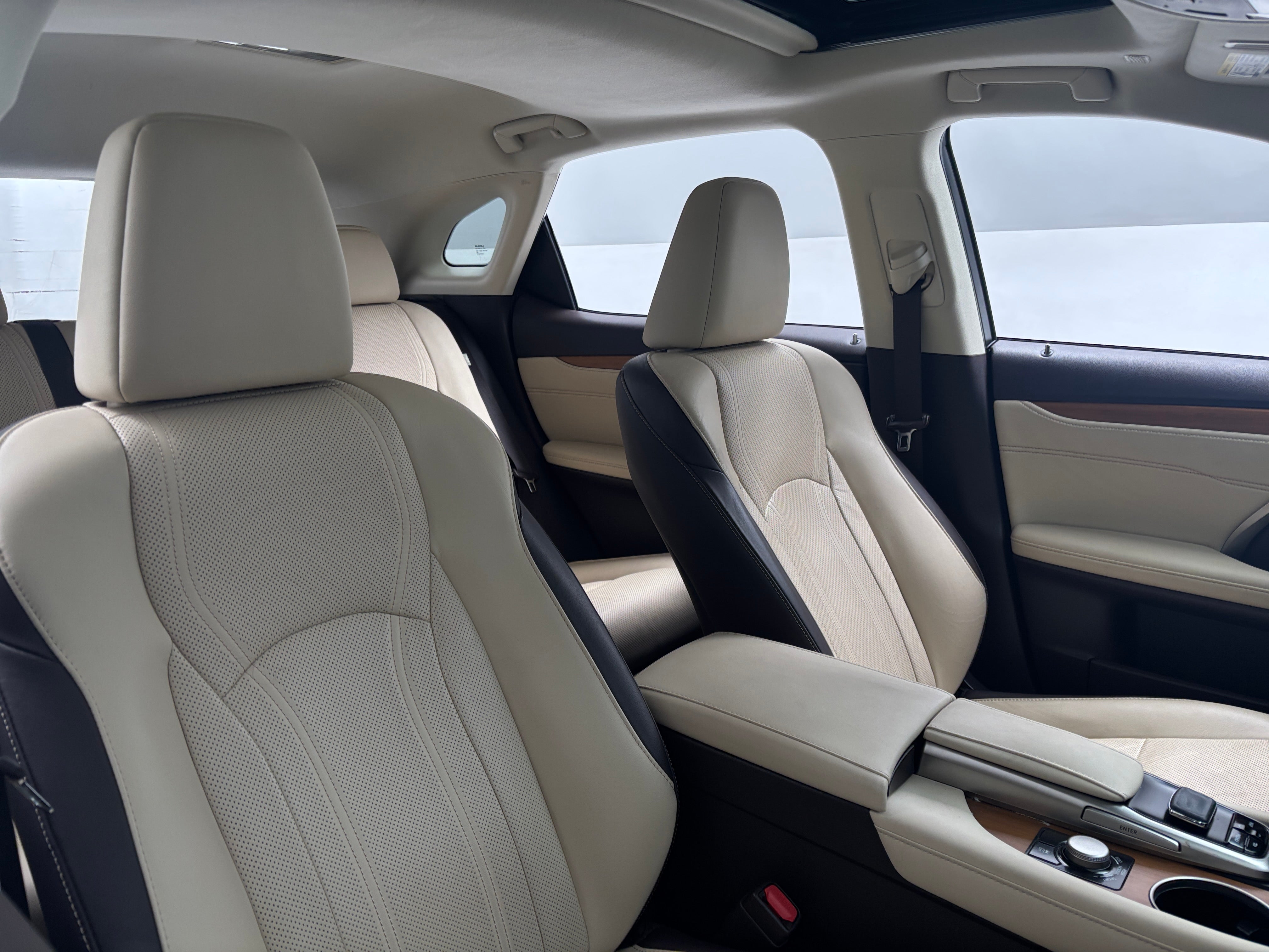 2019 Lexus RX