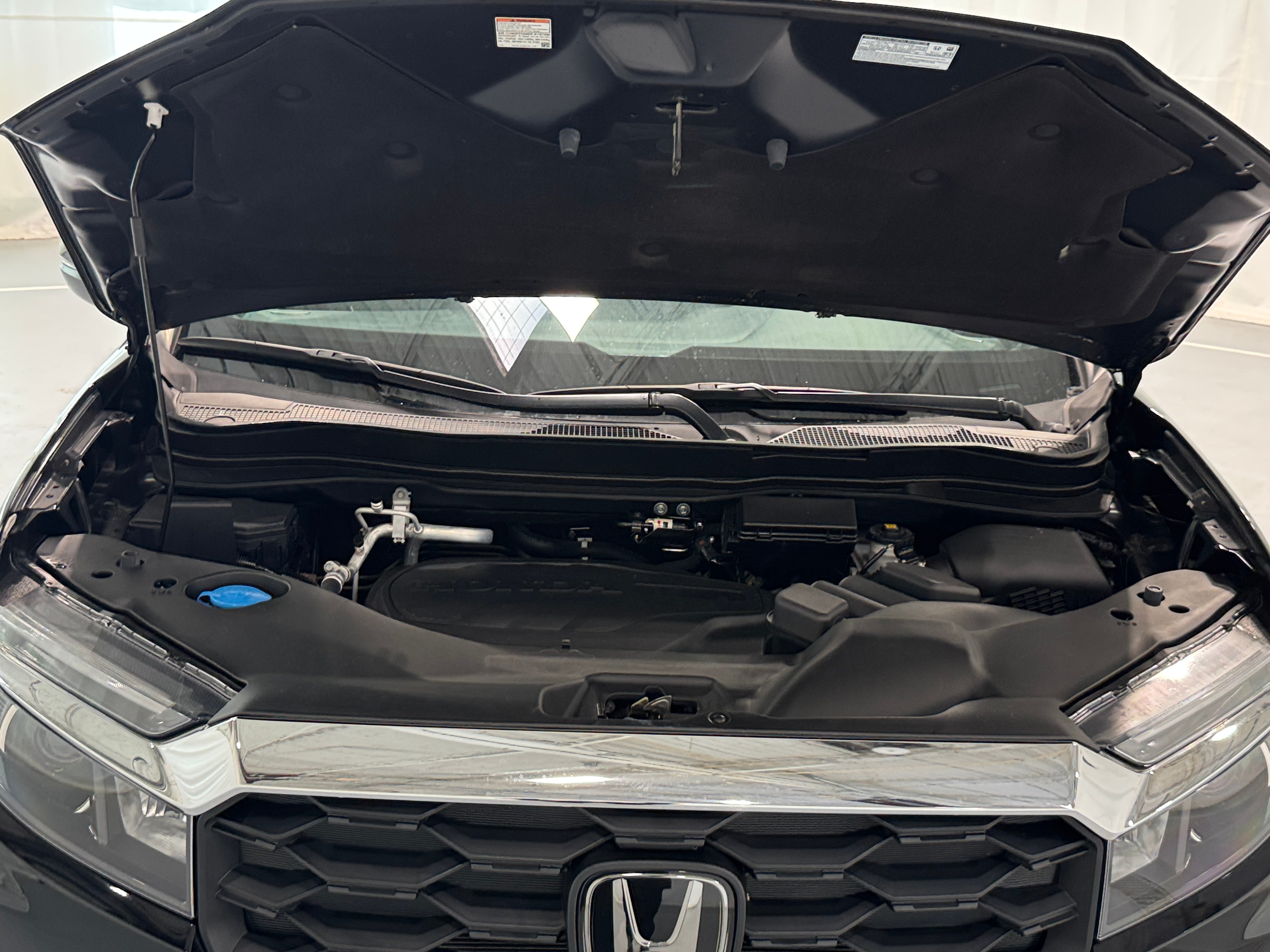 2024 Honda Passport