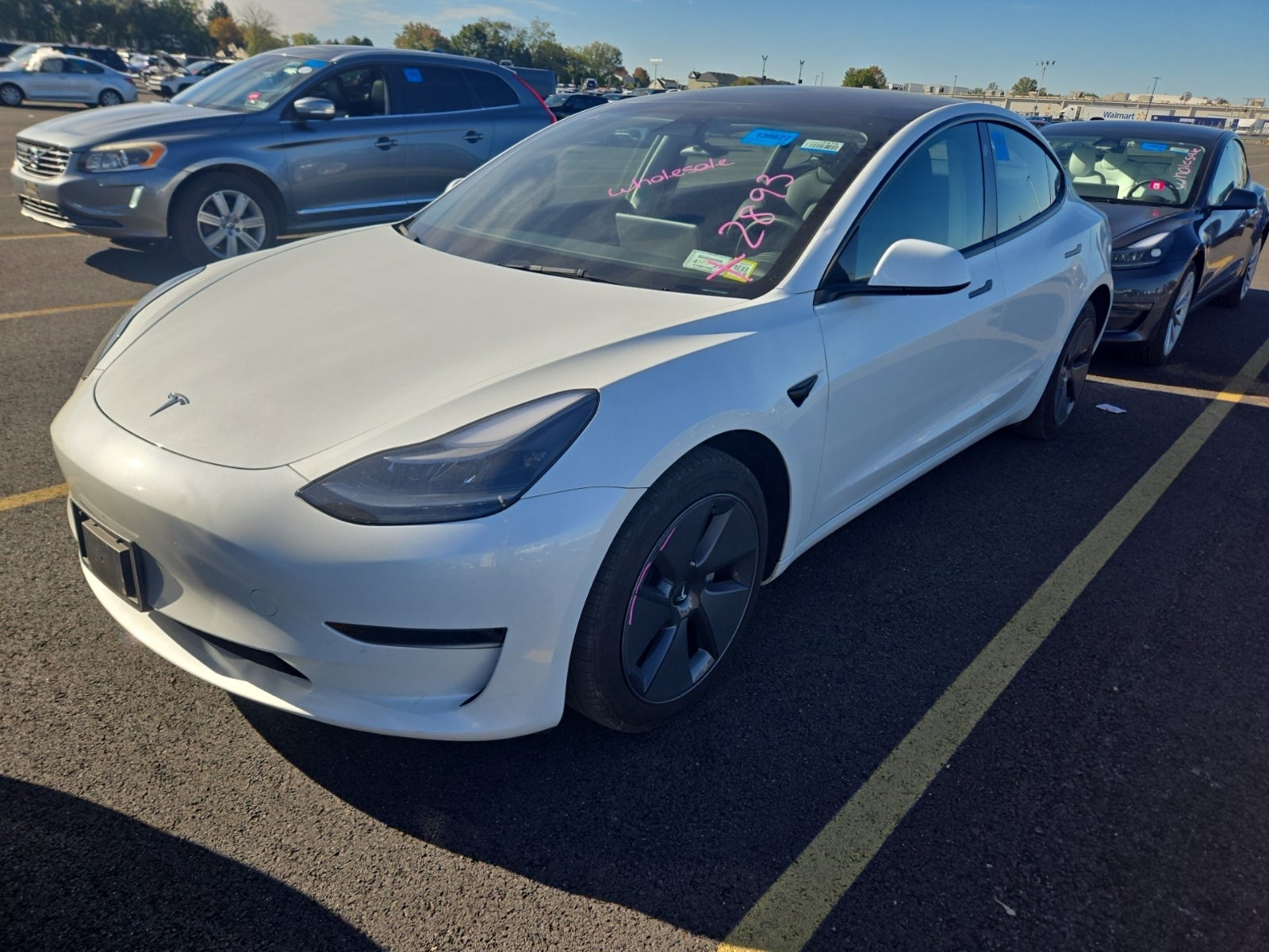2023 Tesla Model 3 Standard Range