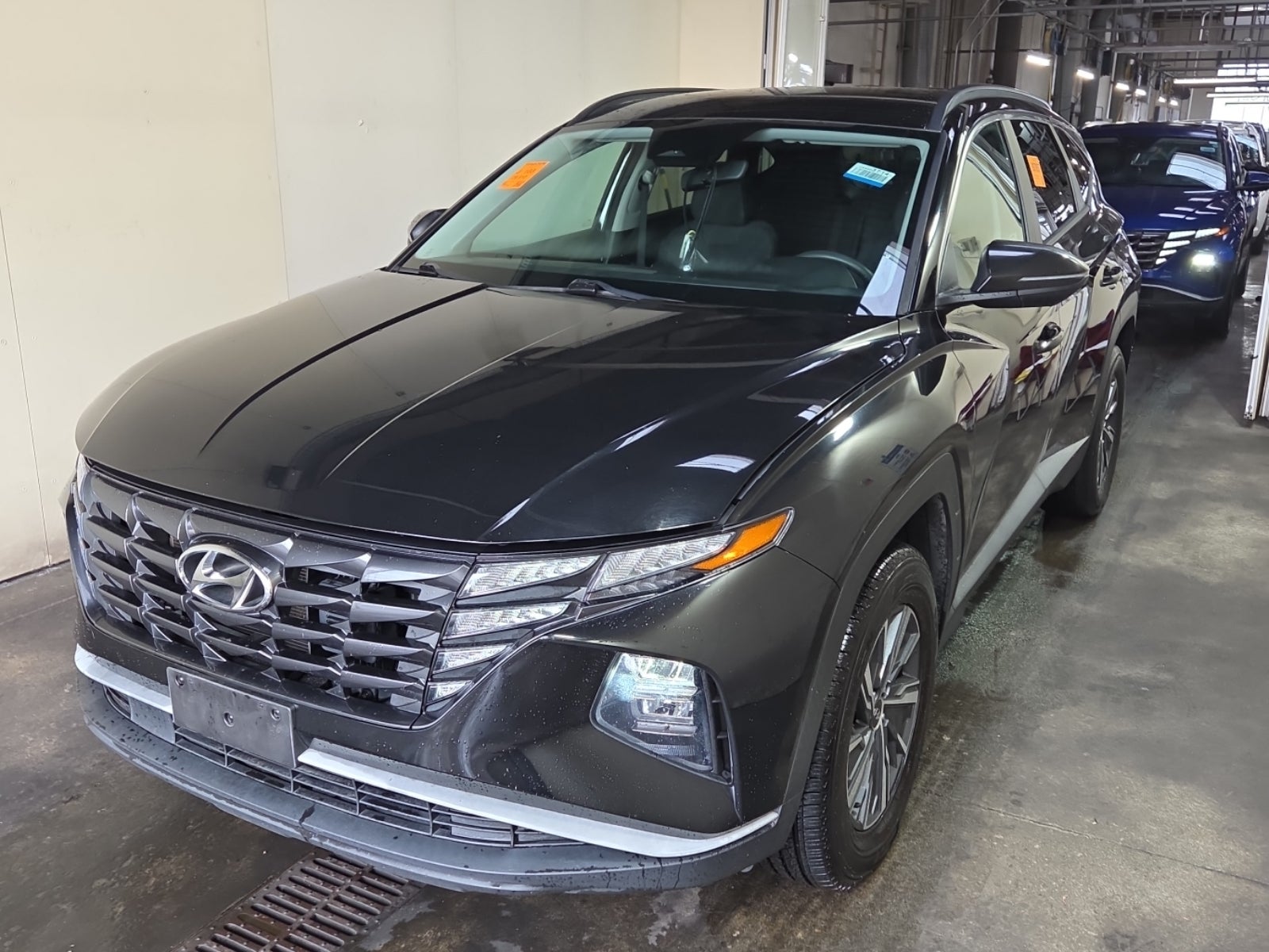 2023 Hyundai Tucson Hybrid Blue