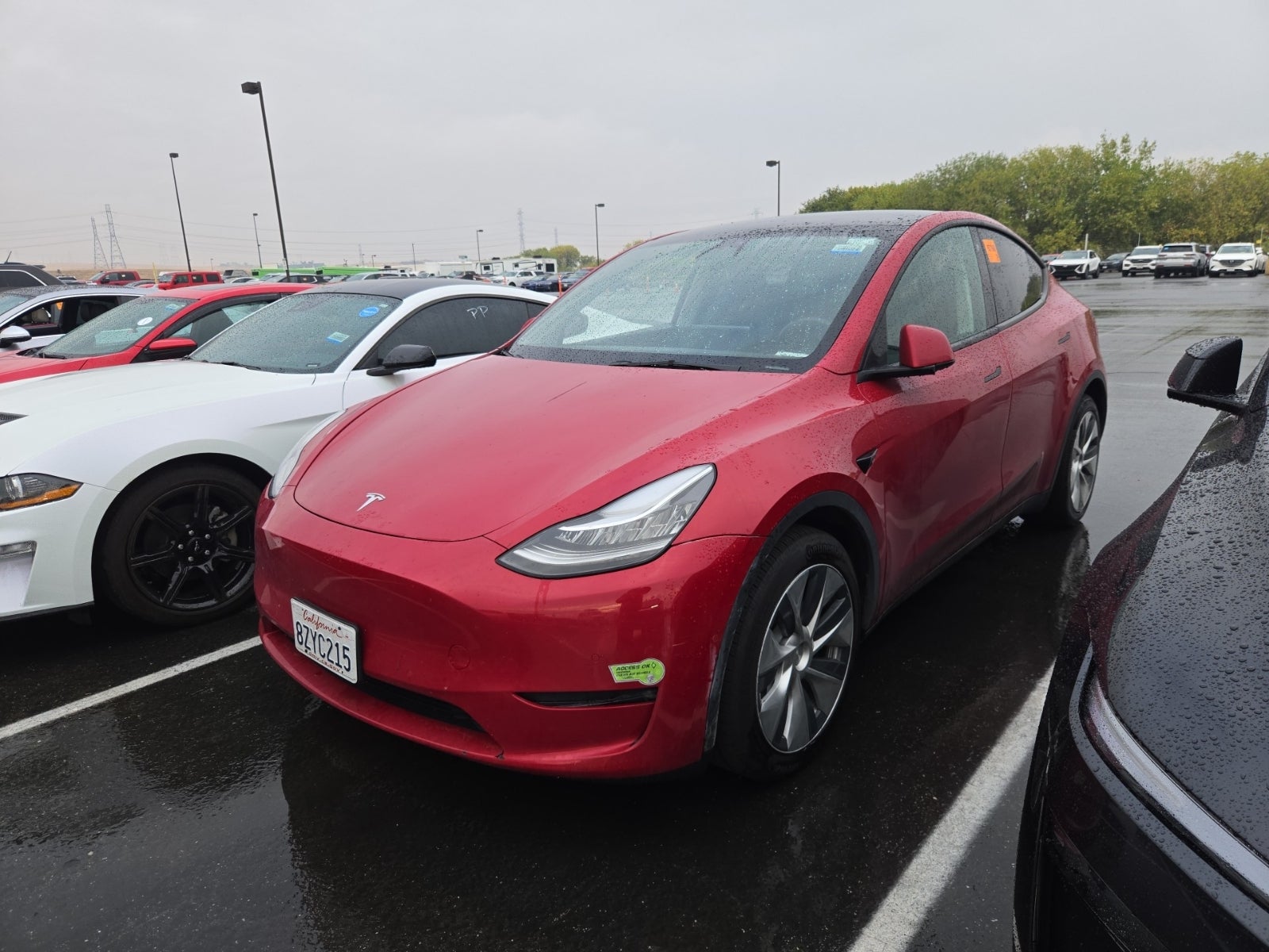 2022 Tesla Model Y Long Range
