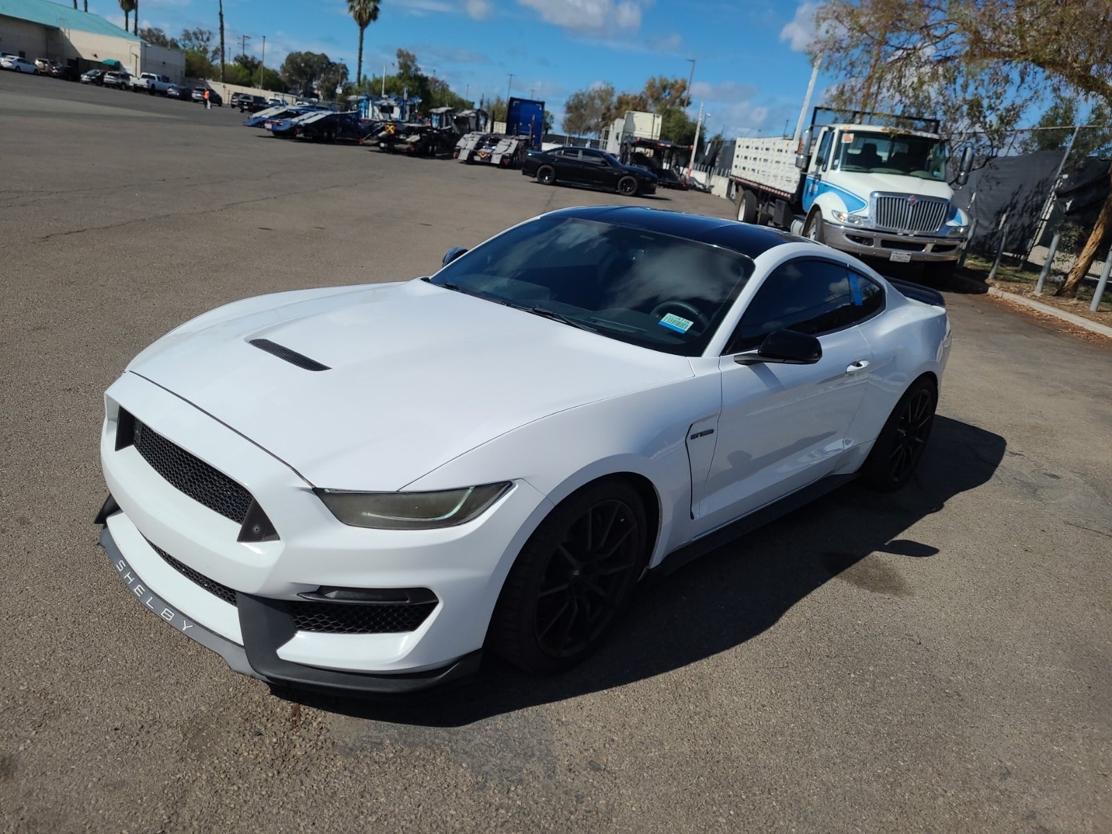 2018 Ford Shelby GT350 Shelby GT350