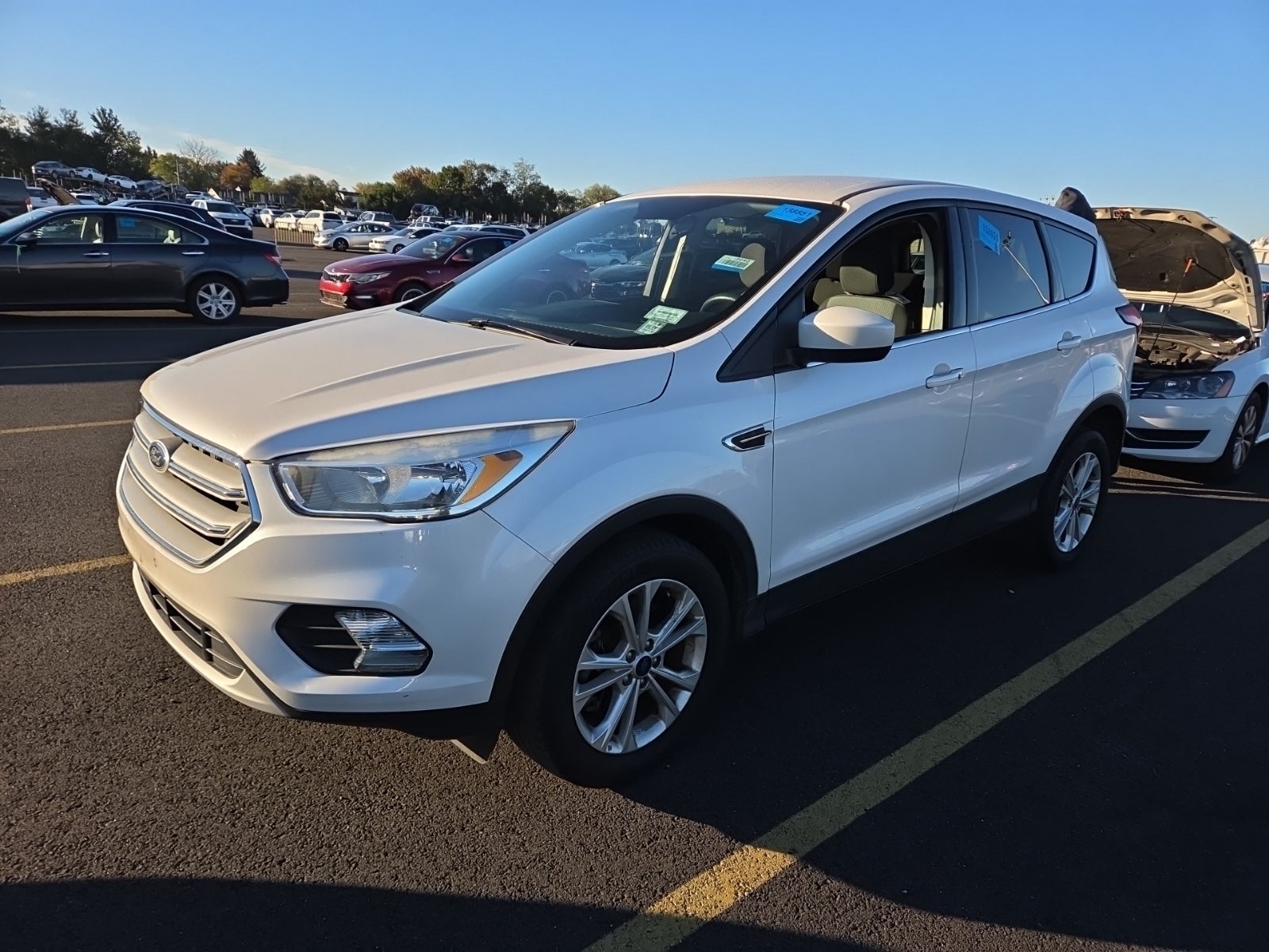 2019 Ford Escape SE