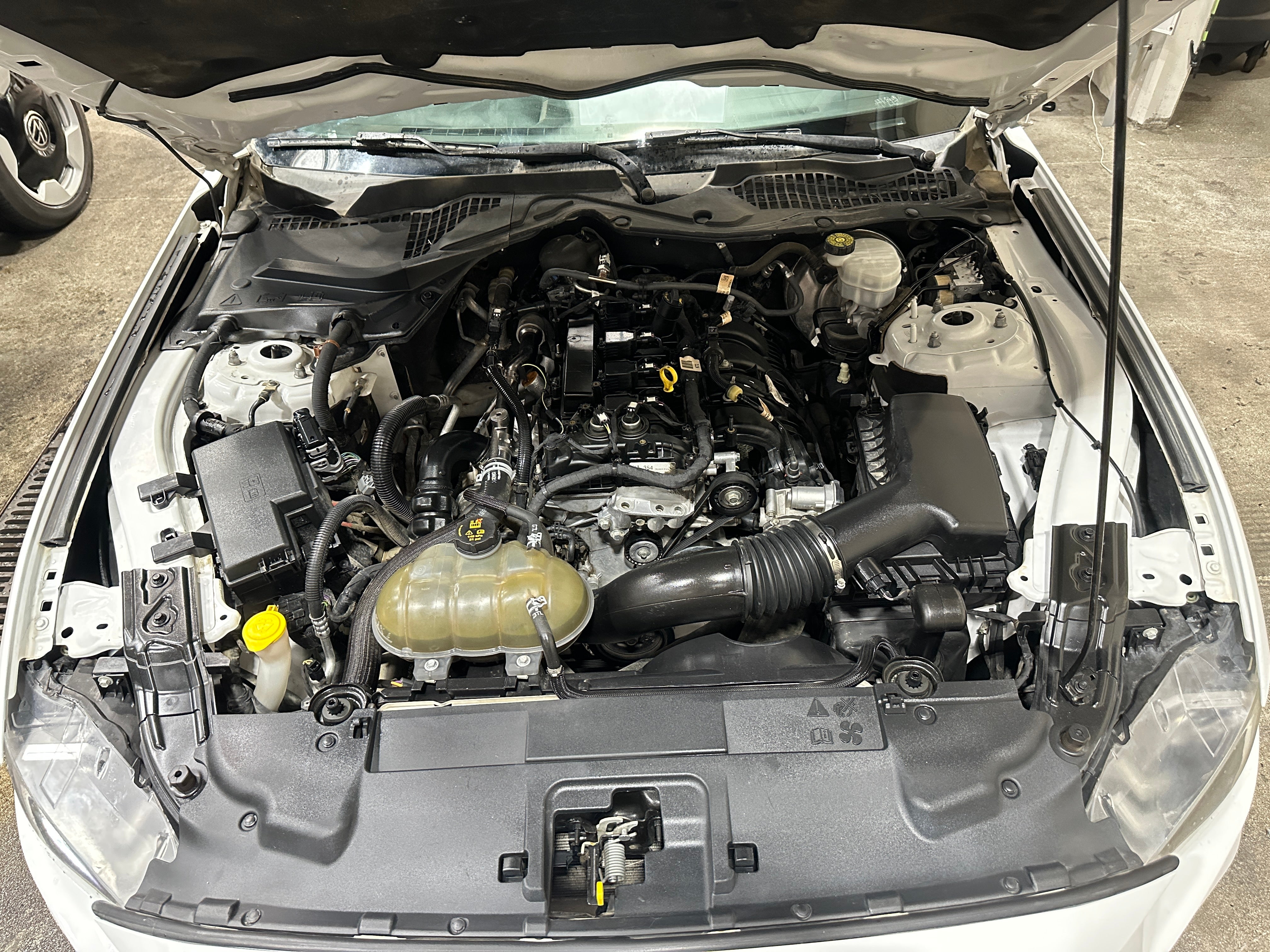2019 Ford Mustang EcoBoost