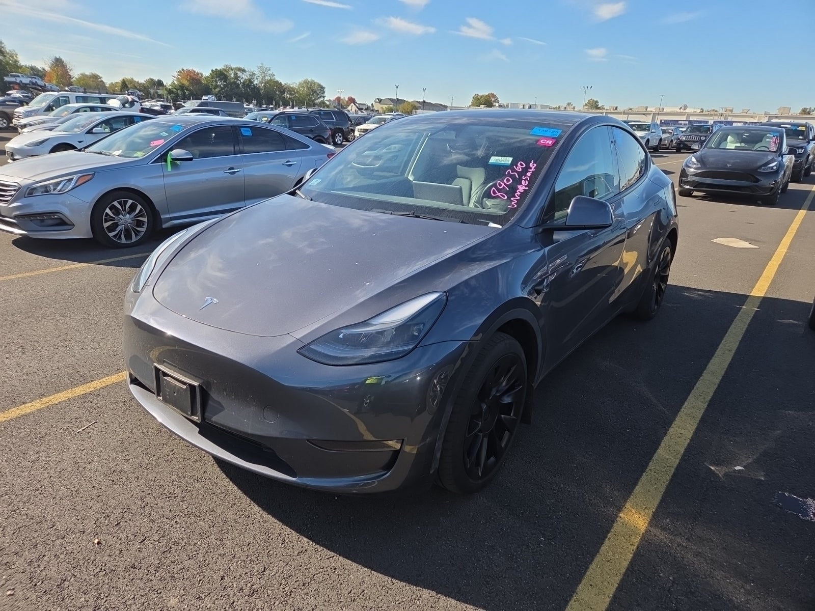 2023 Tesla Model Y Long Range