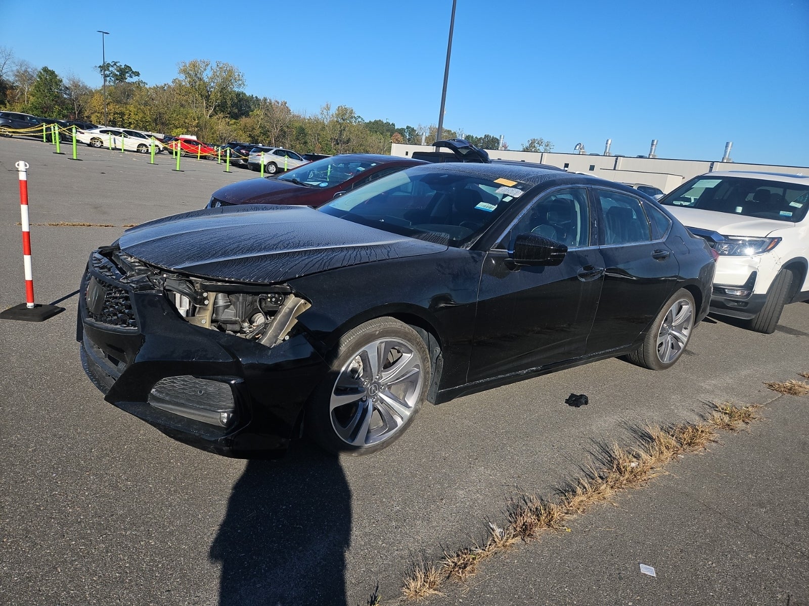 2021 Acura TLX W/Advance Package