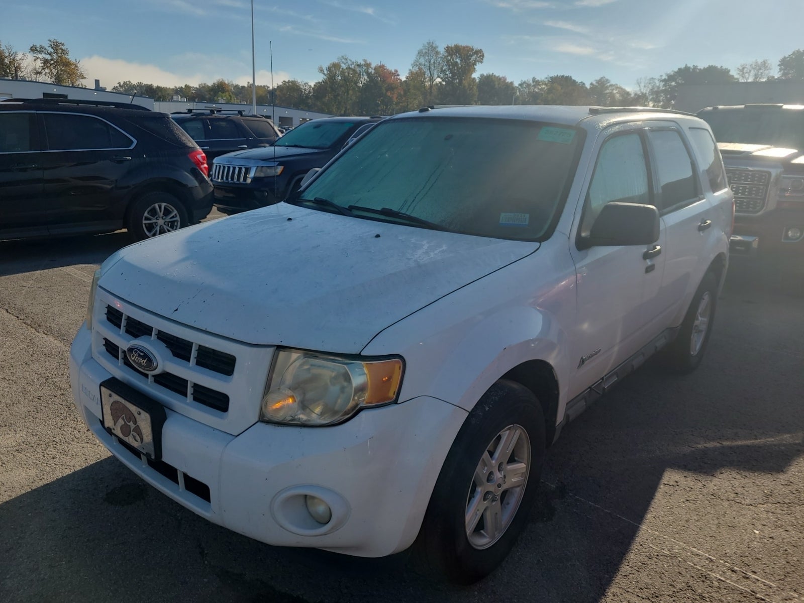 2010 Ford Escape Hybrid Hybrid